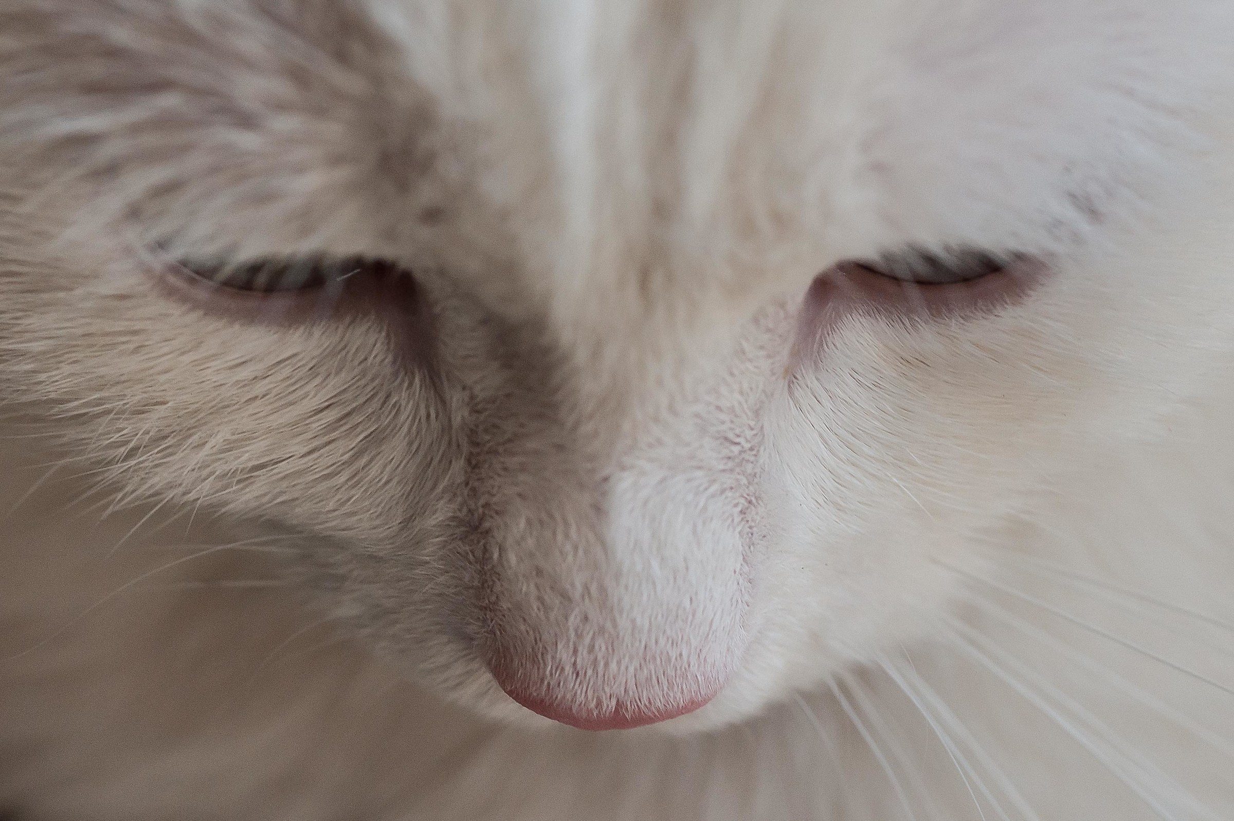 cassiopea -si chiama cosi-pensa di uscire in giardino