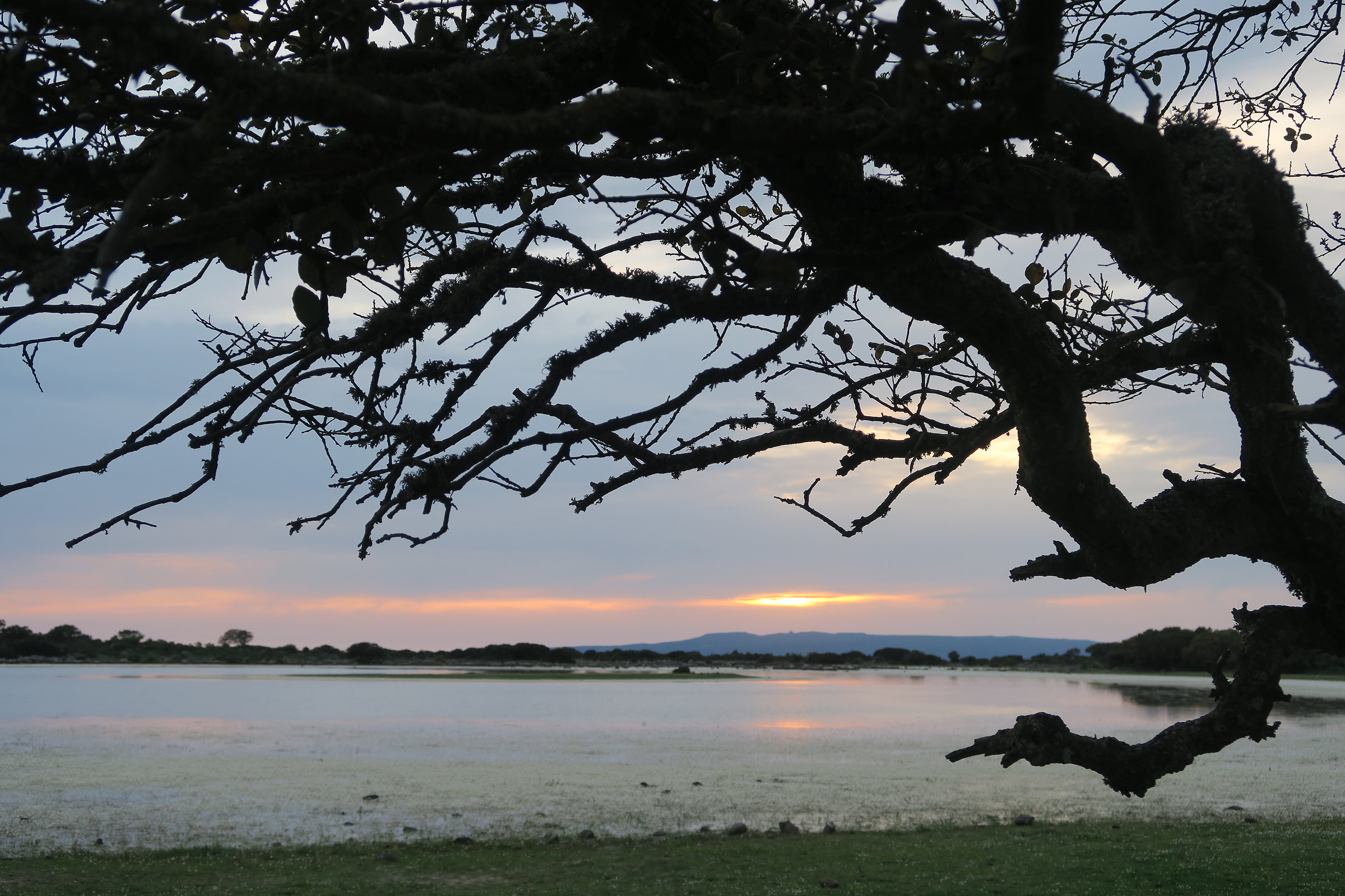 sunset over the lake