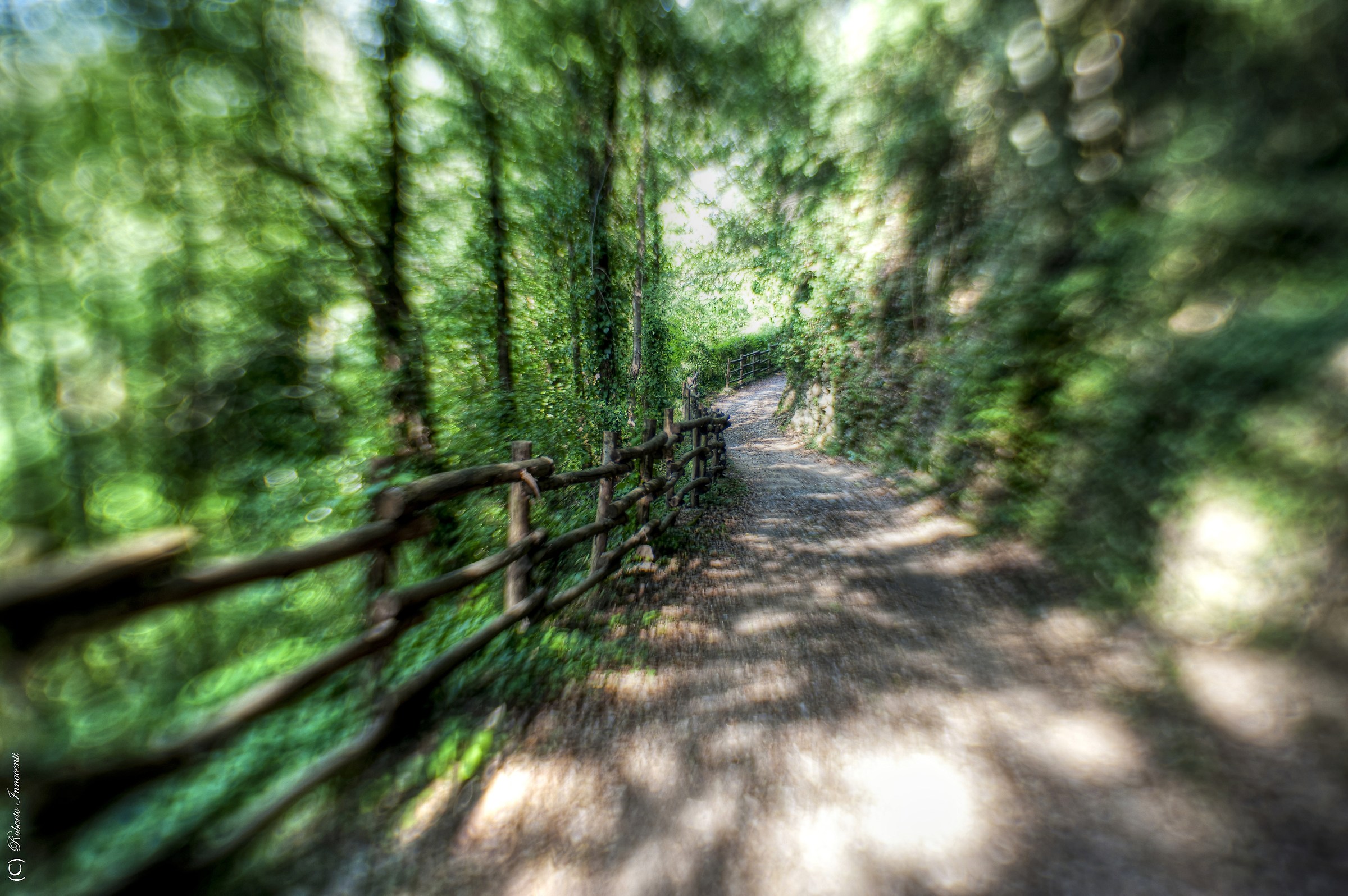 Il sentiero incantato,Pigna (im)