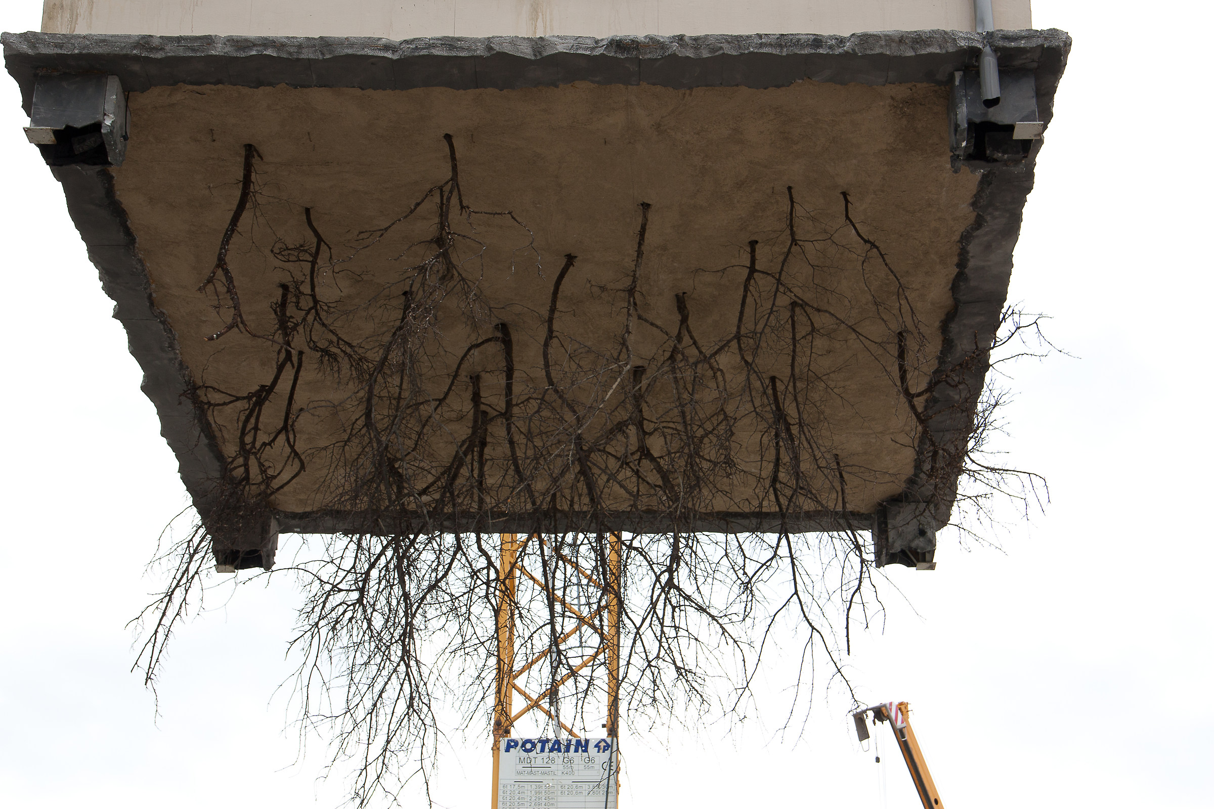 mi hanno sradicato la casa 3