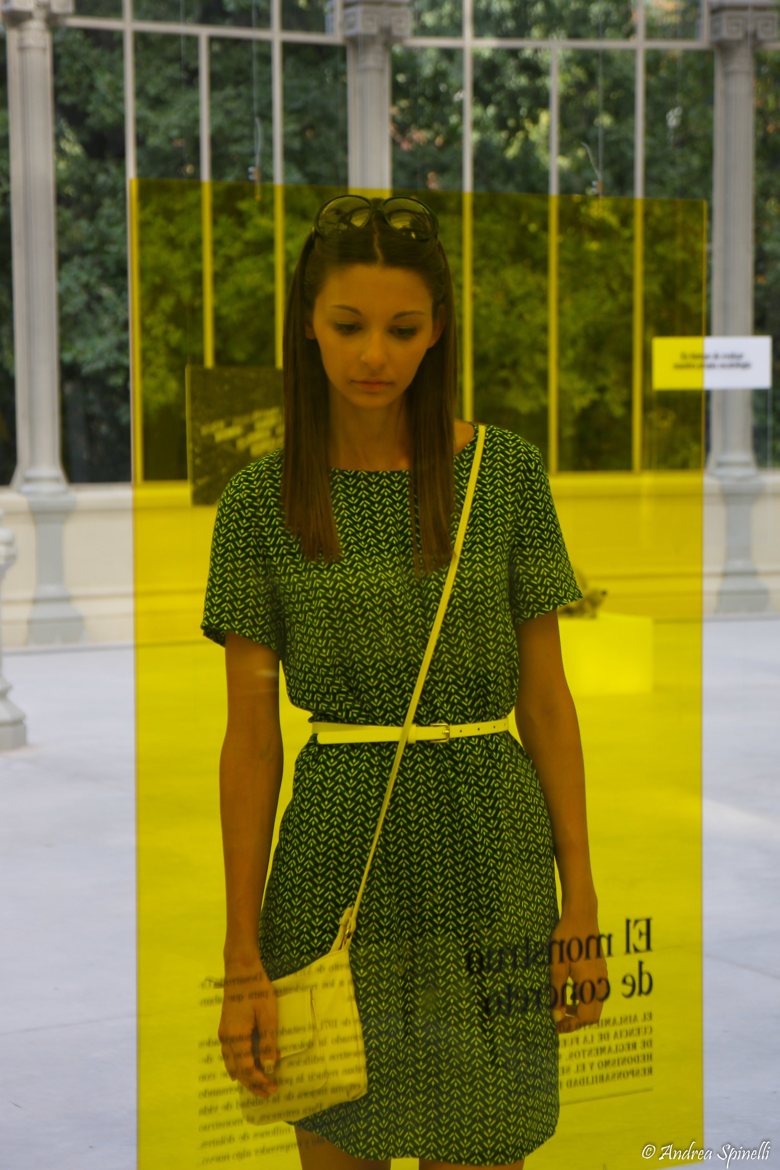 "la signora in giallo"