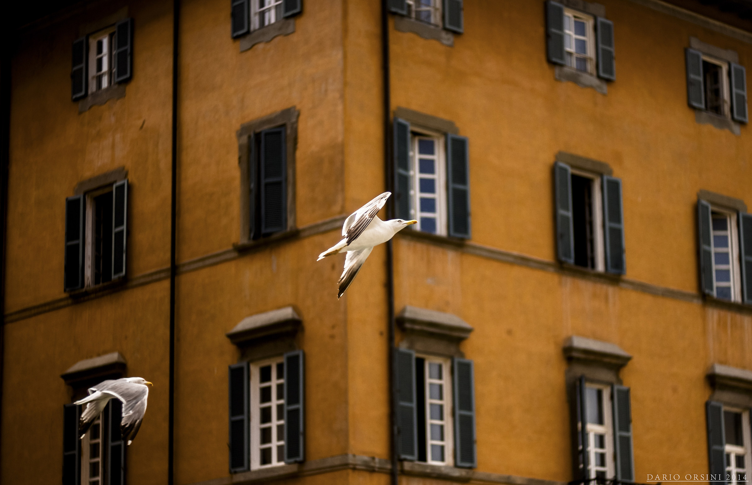 different directions