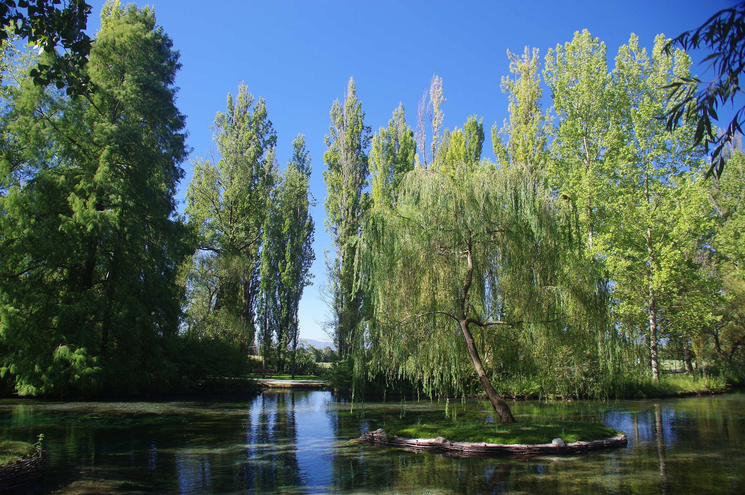 The Clitunno sources