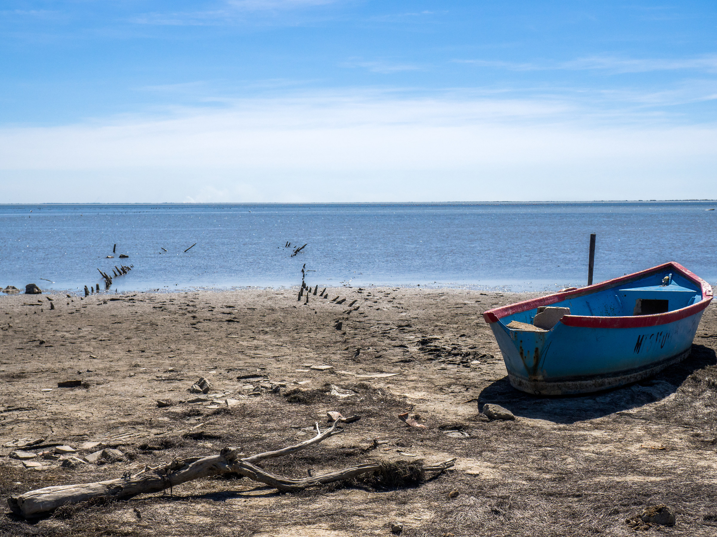 Noon in the Camargue