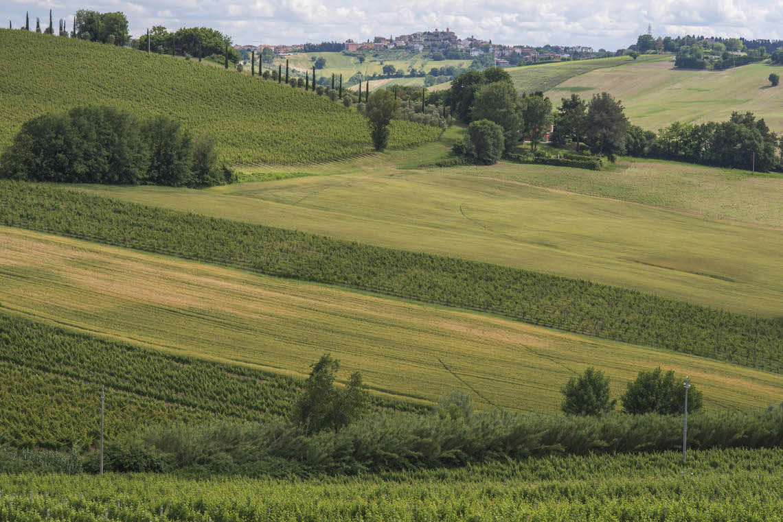 La pace dei sensi made i Italy