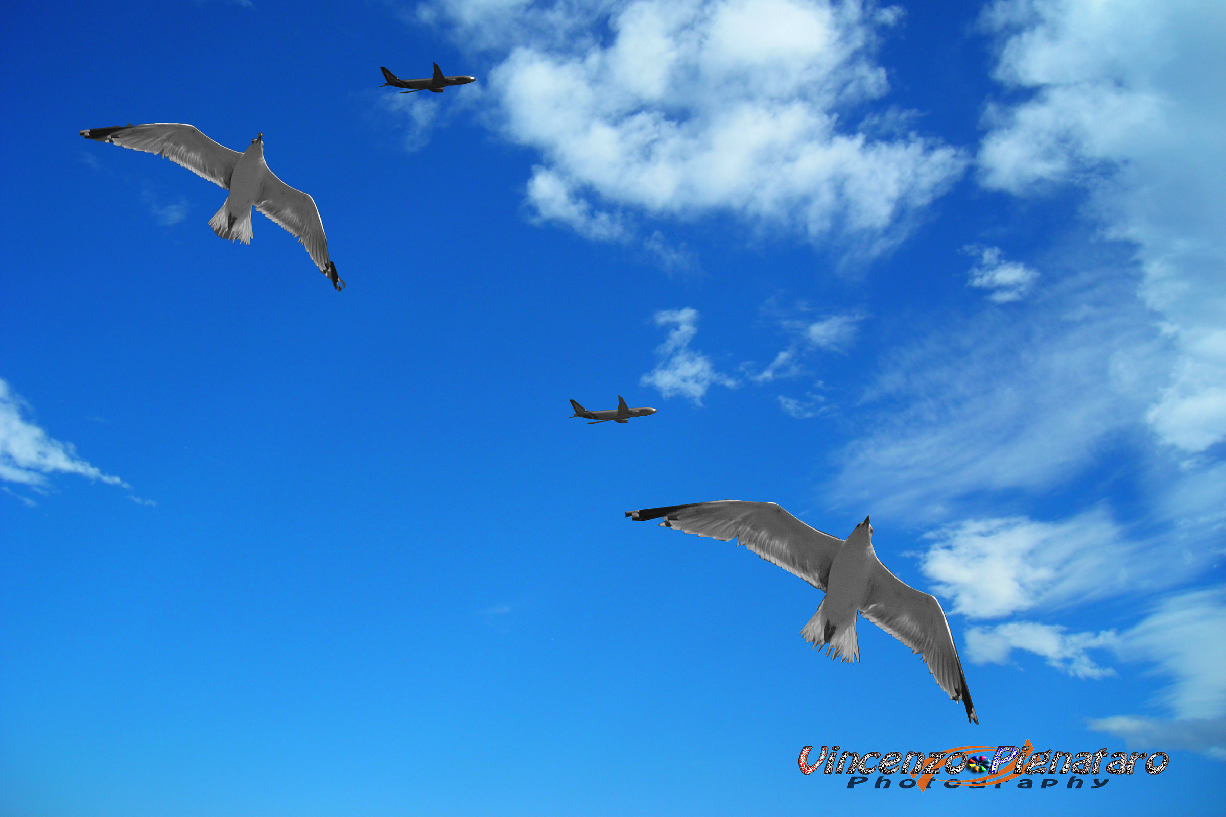 Gara di volo ''Fiumicino''