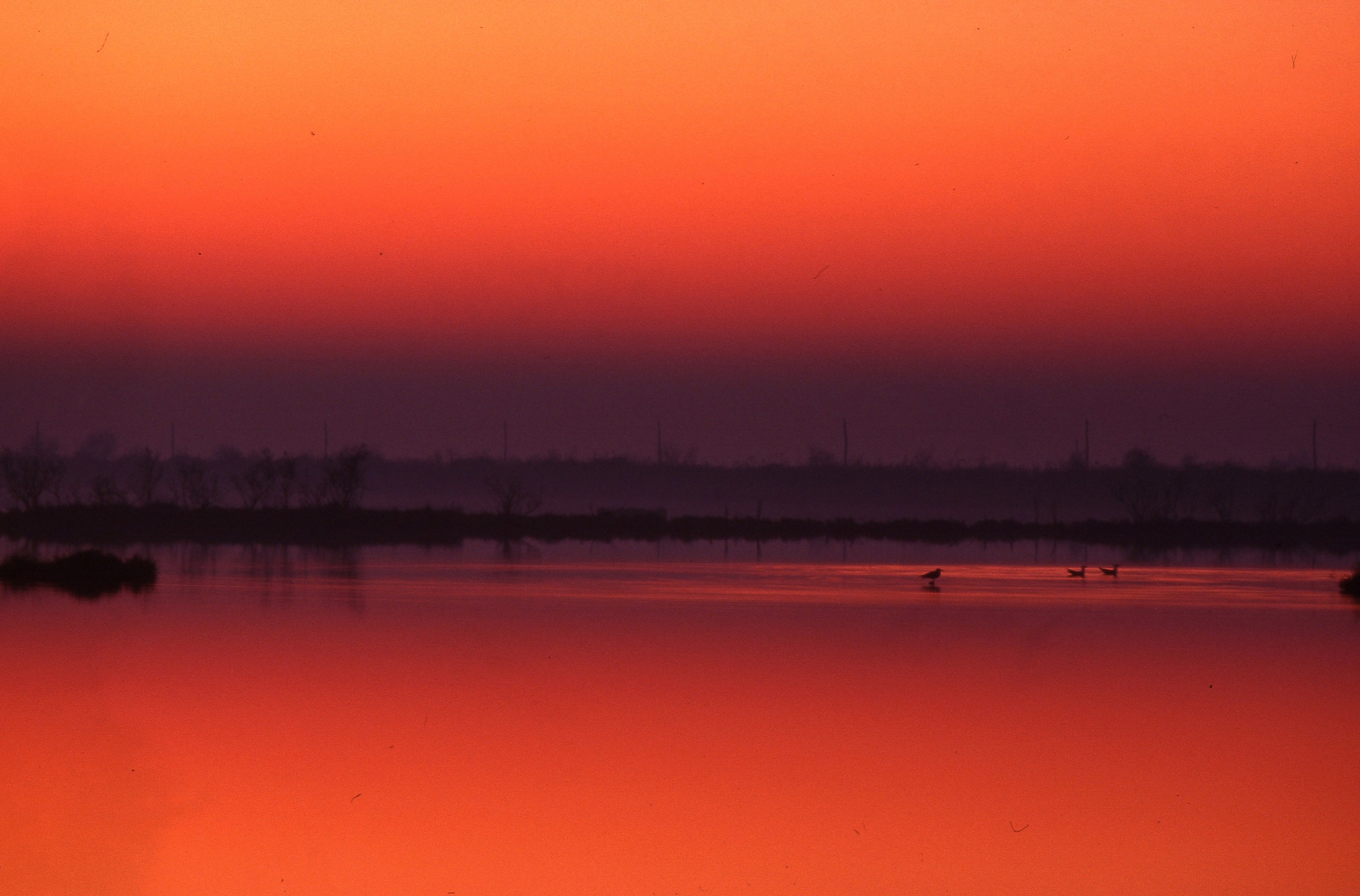 Laguna di Venezia al tramonto