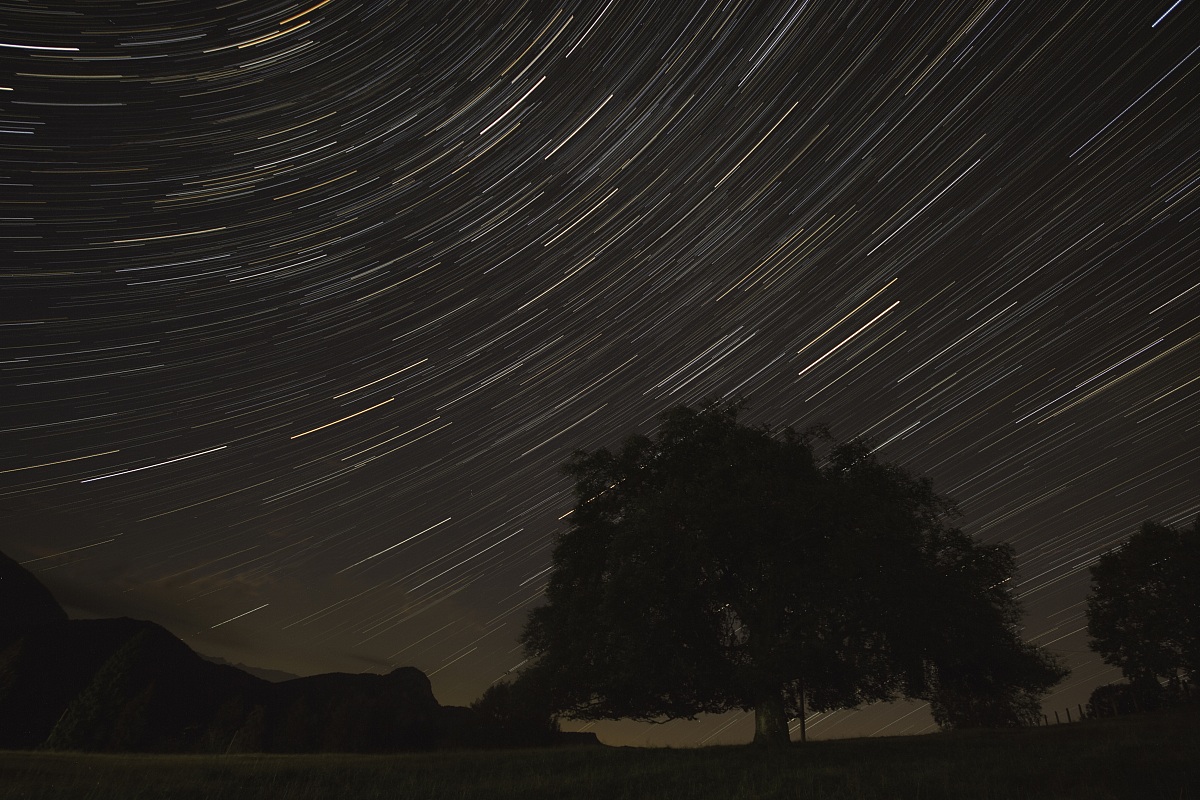 Startrails con faggio