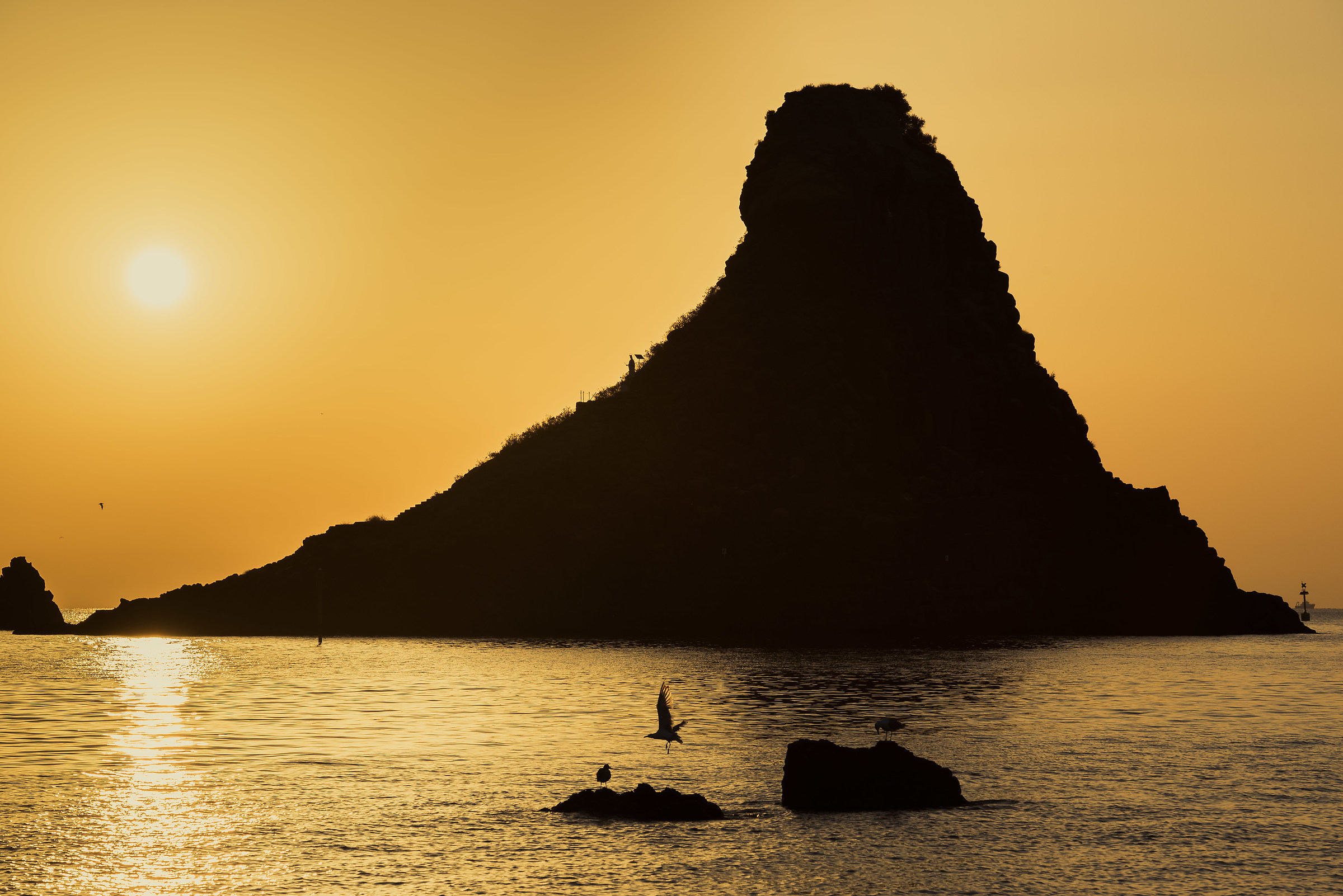 The gold's silhouette over sea