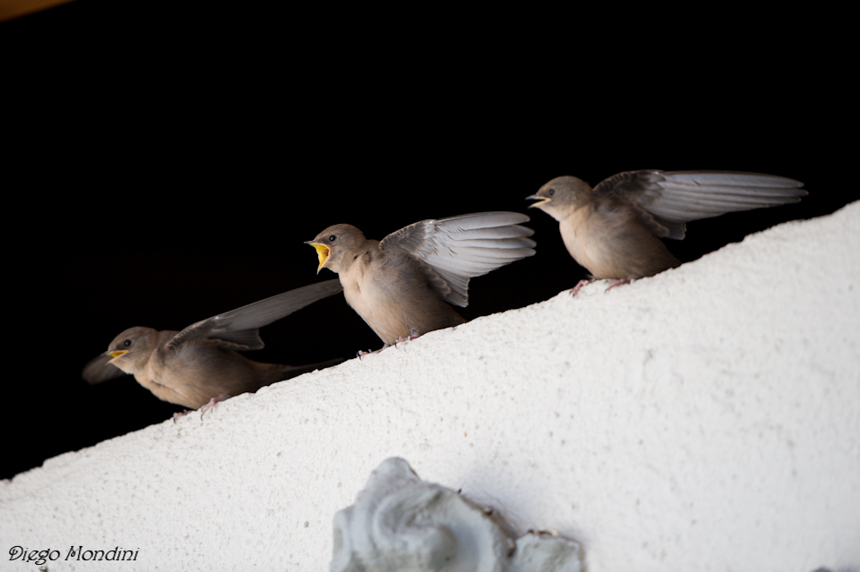 I have more 'hunger I