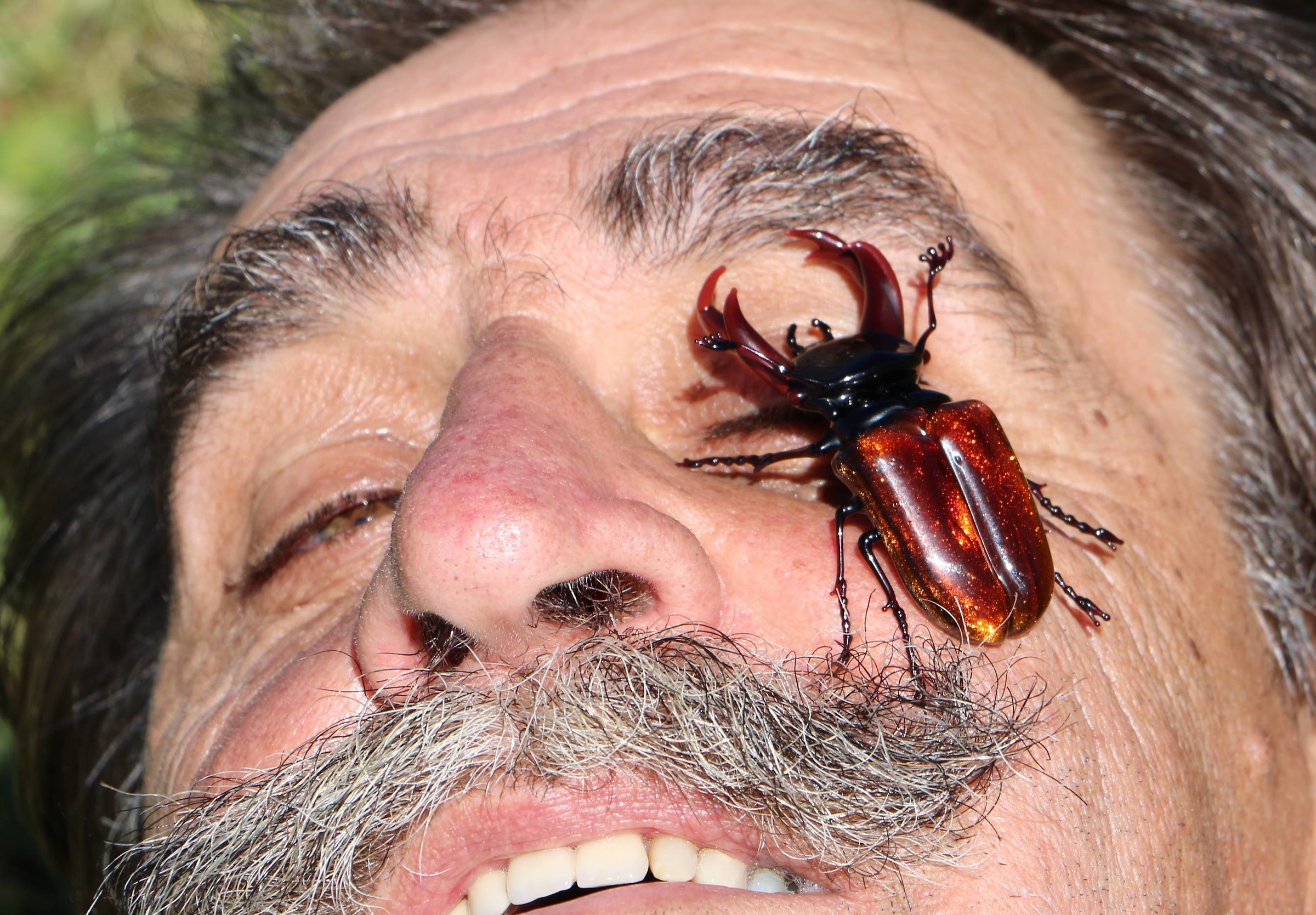 AIUTOOO...levatemelo...levatemelo