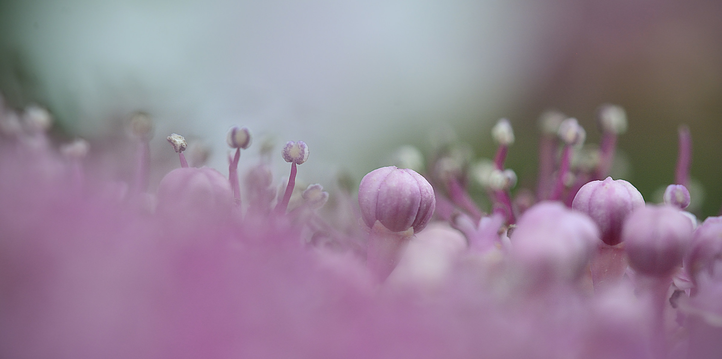 "E 'un altro mondo Down There ..."