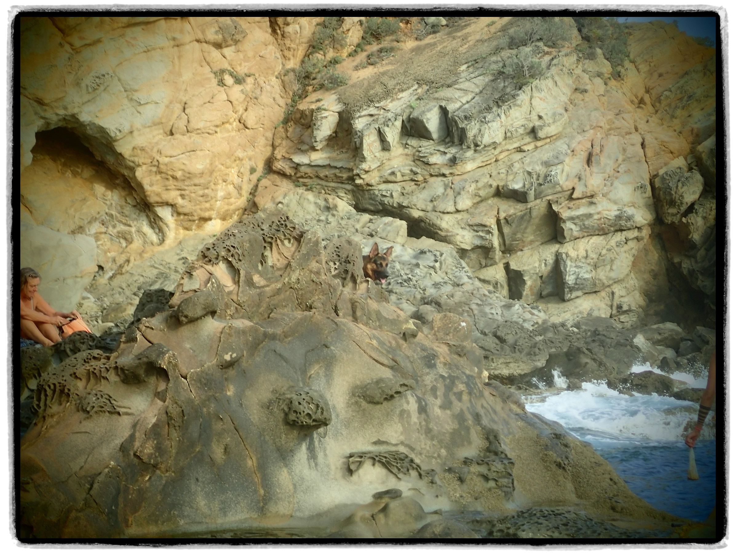 Peeking out from the rock