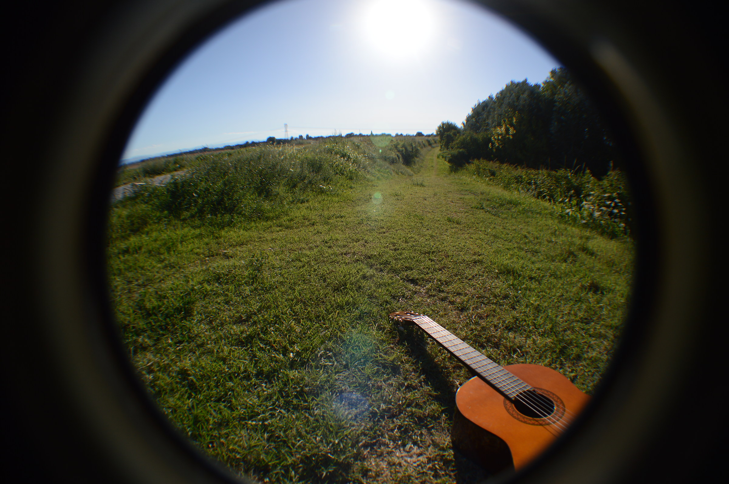 Musica e natura: energia e passione