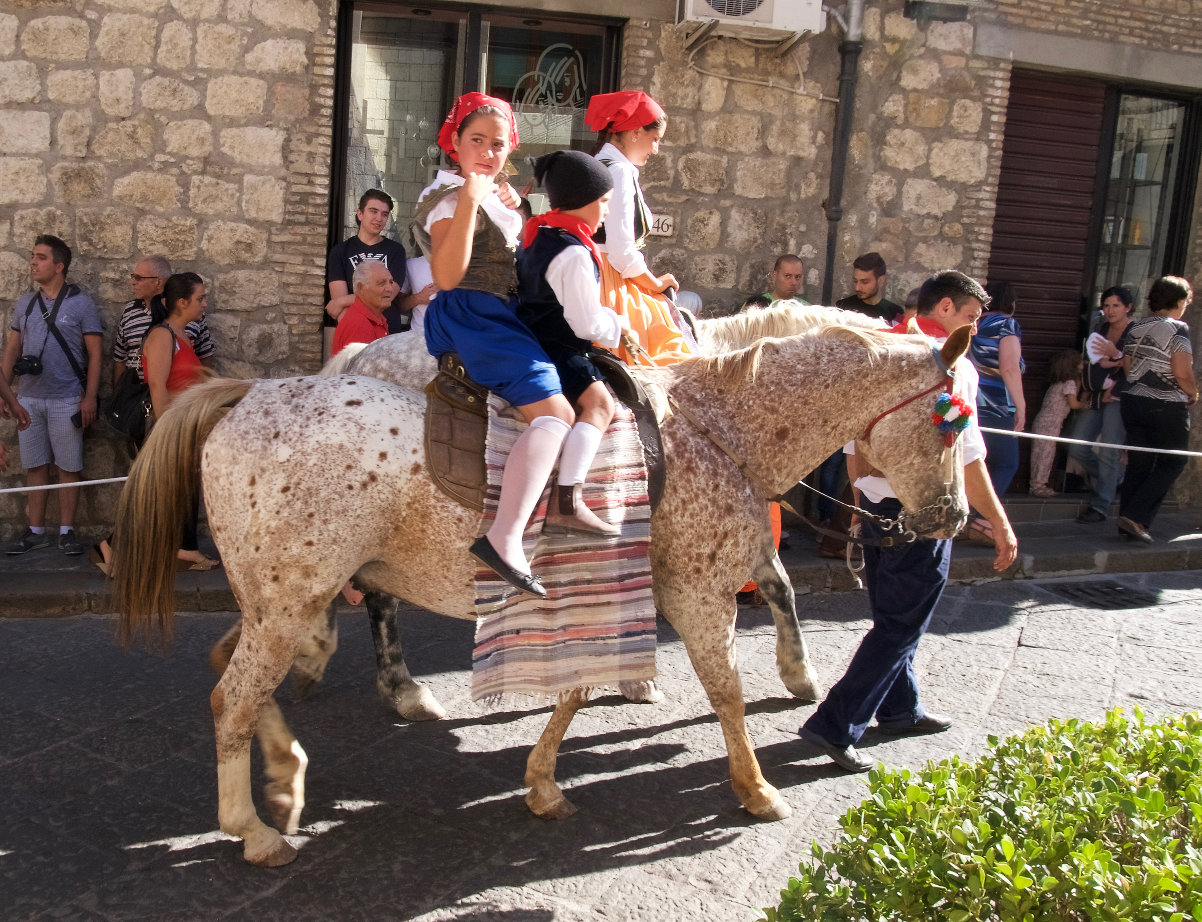 Horses with polka dots