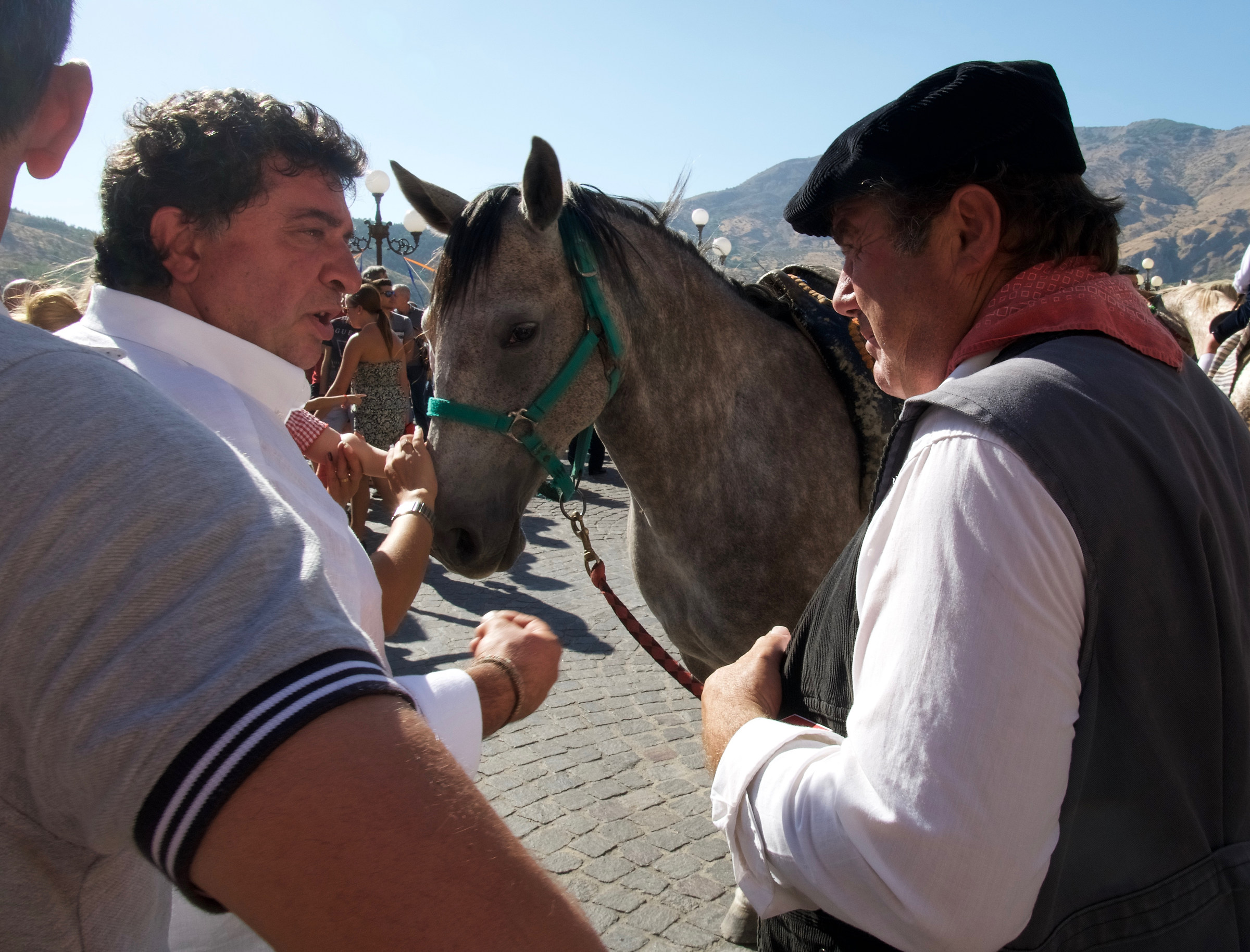 My horse is better than yours