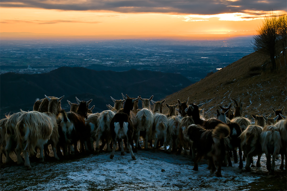 The sunsets like them all