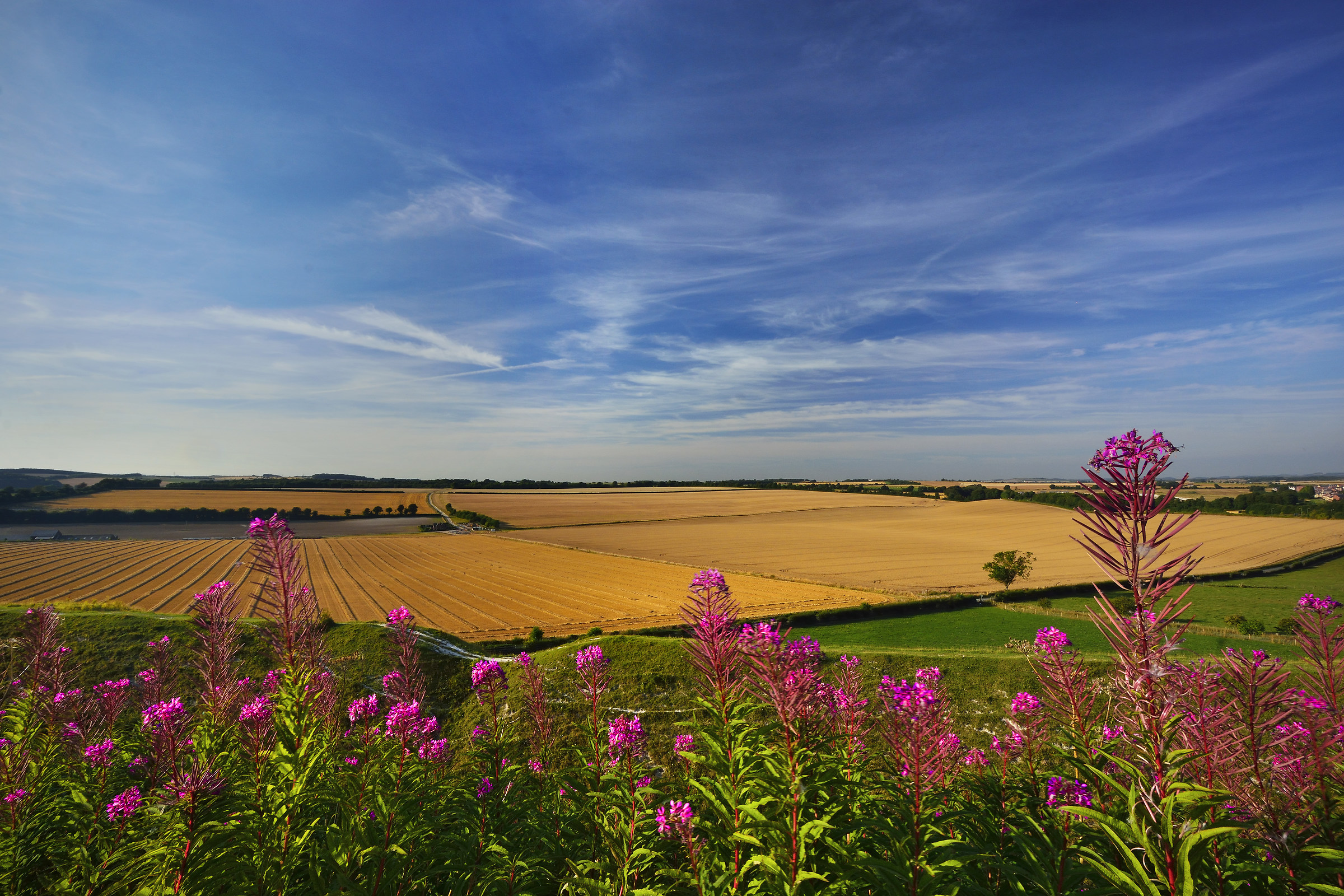 Summertime View From the Rampart...