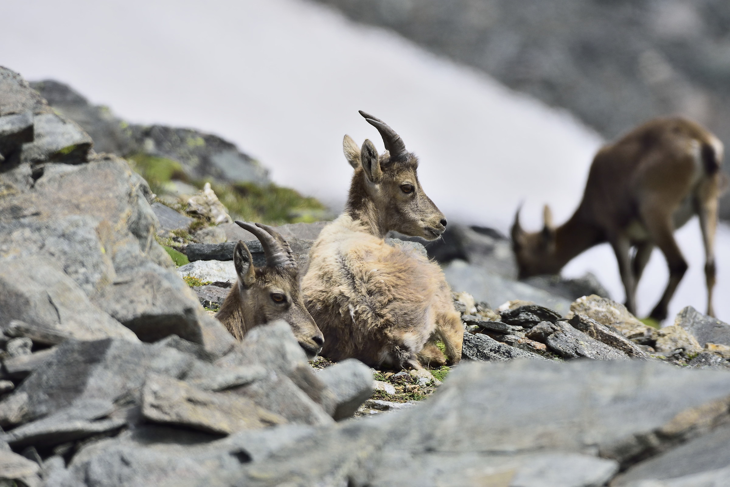 A Place in the Sun....