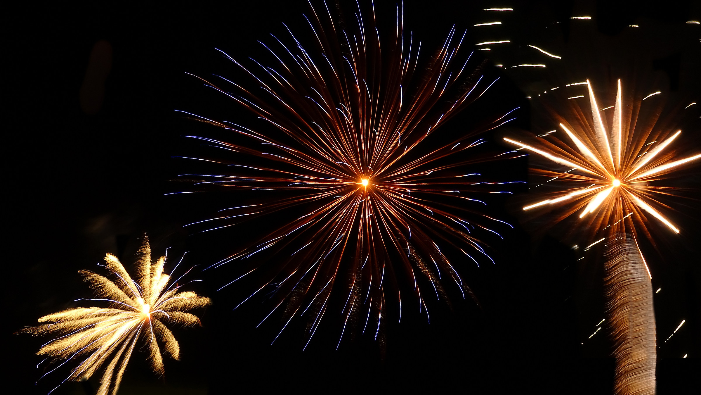 Fuochi d'artificio prima prova