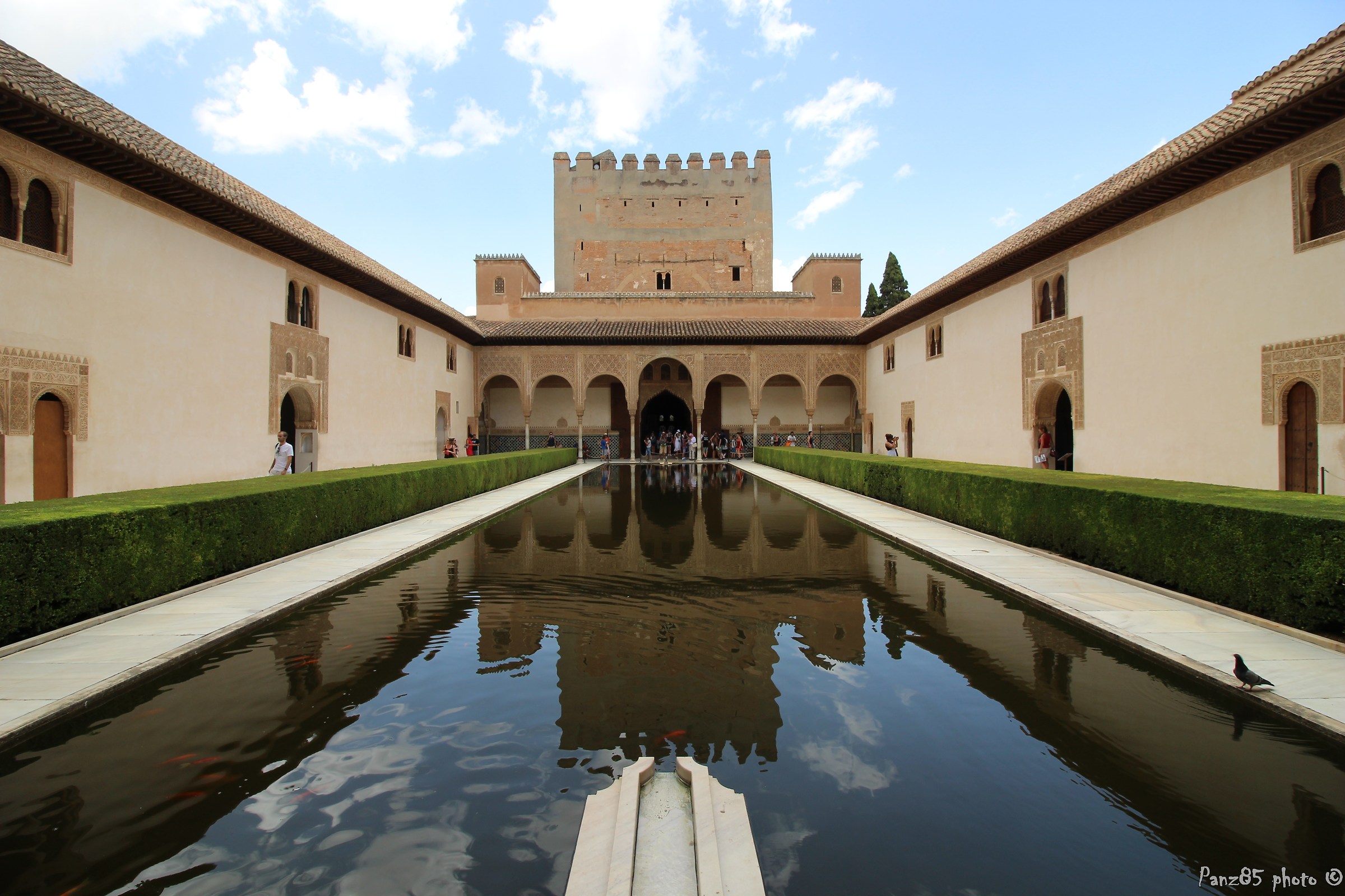 Il Patio de los Arrayanes Alhambra (Granada)