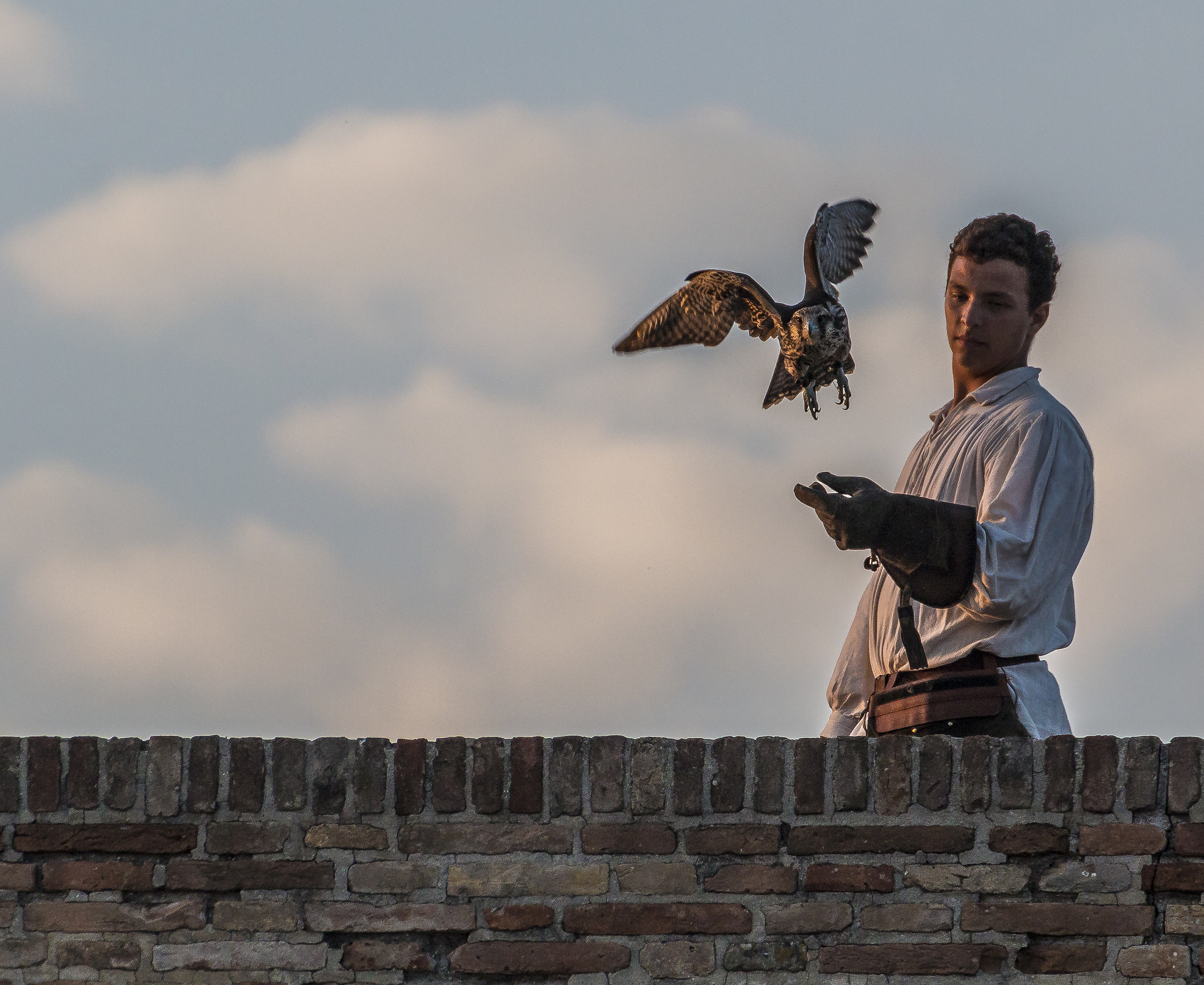 Falconry in the Palio of Mondaino