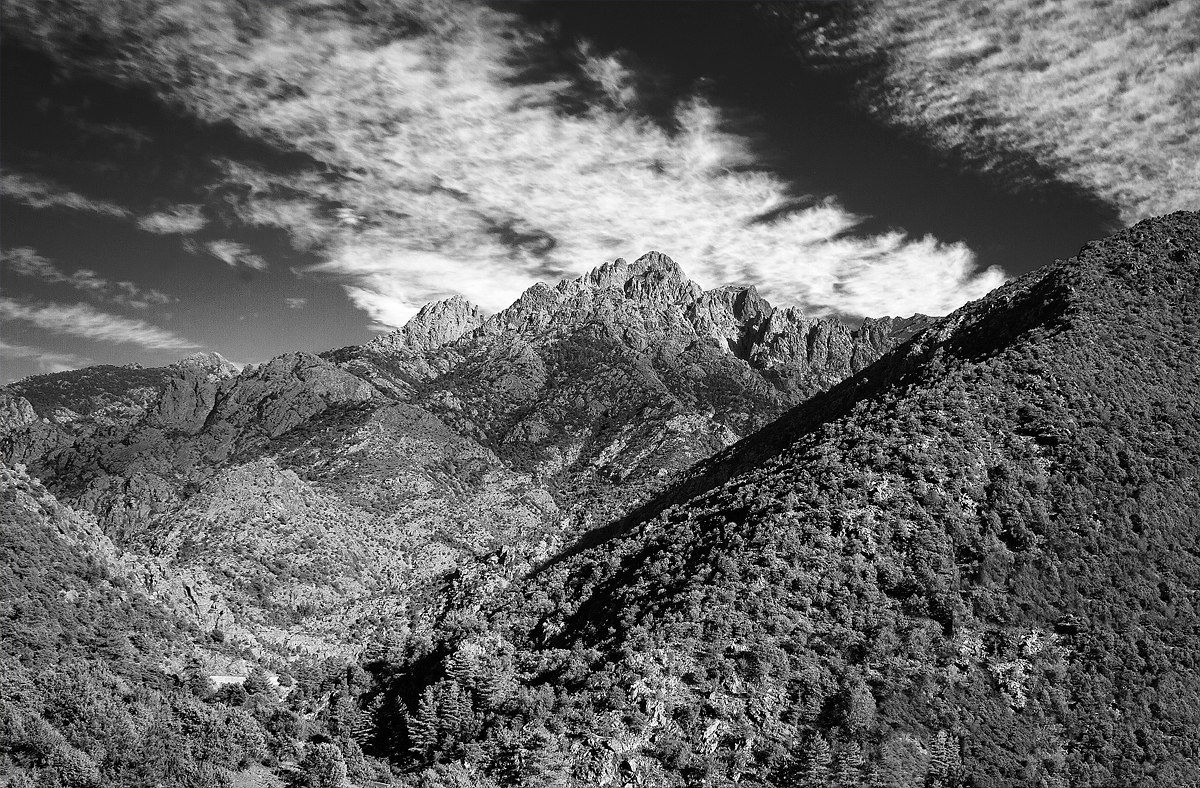 Corsica - Monte Gold