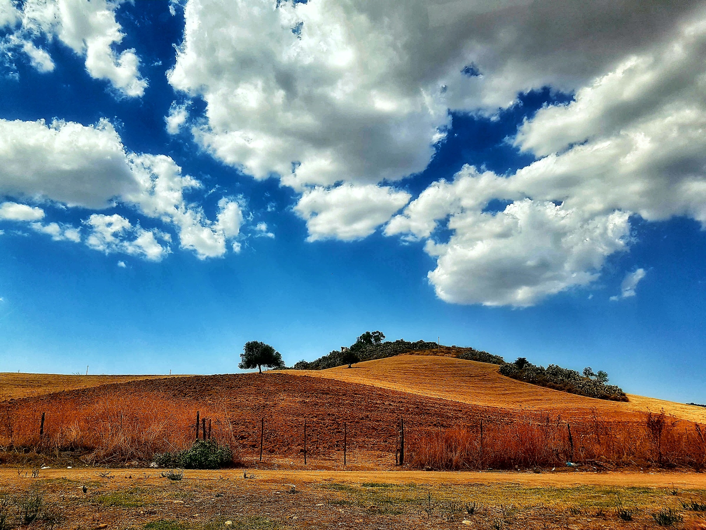 Sicily, land of a thousand colors landscapes