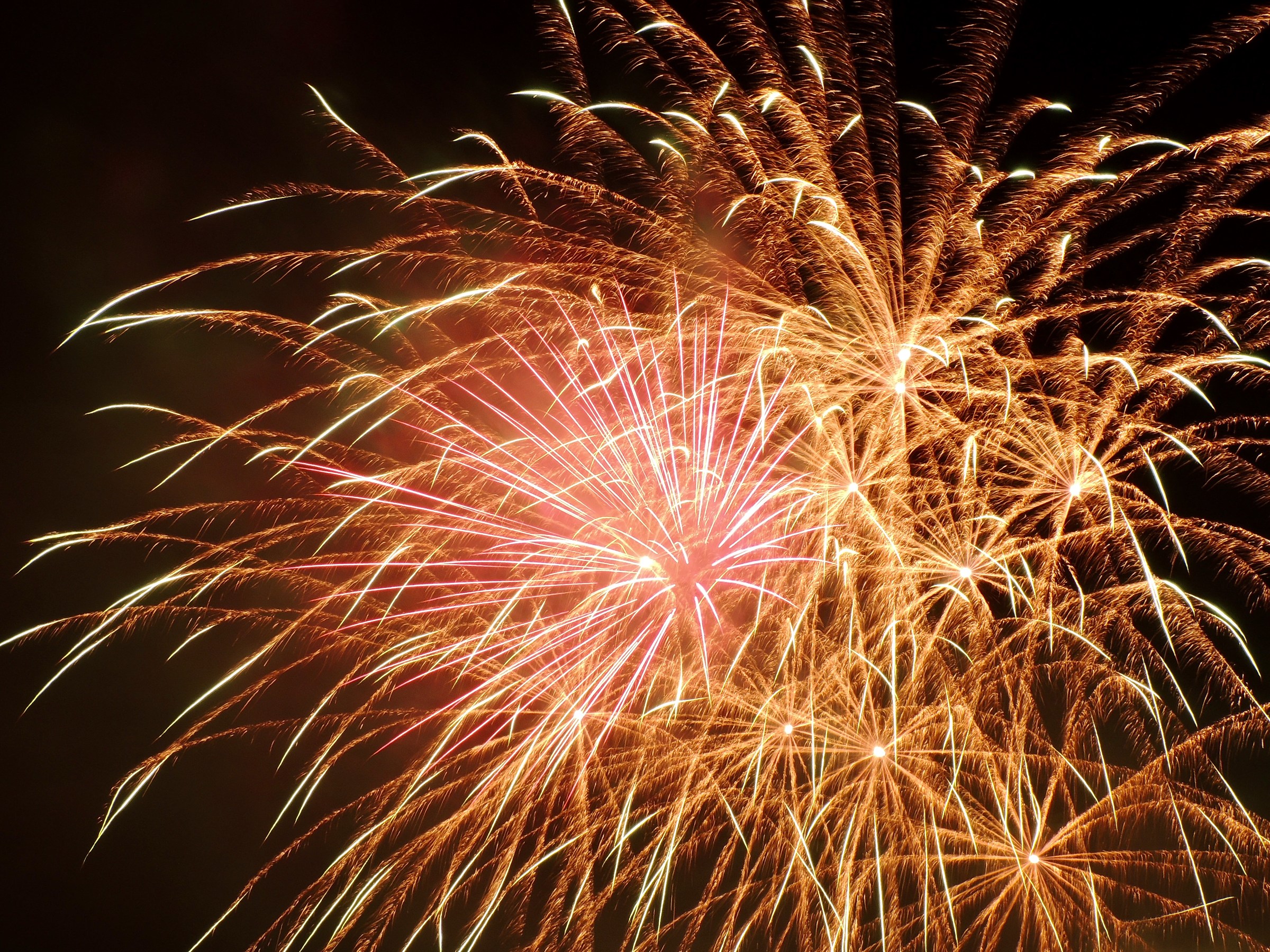 Fires of August 2015 Altidona beach