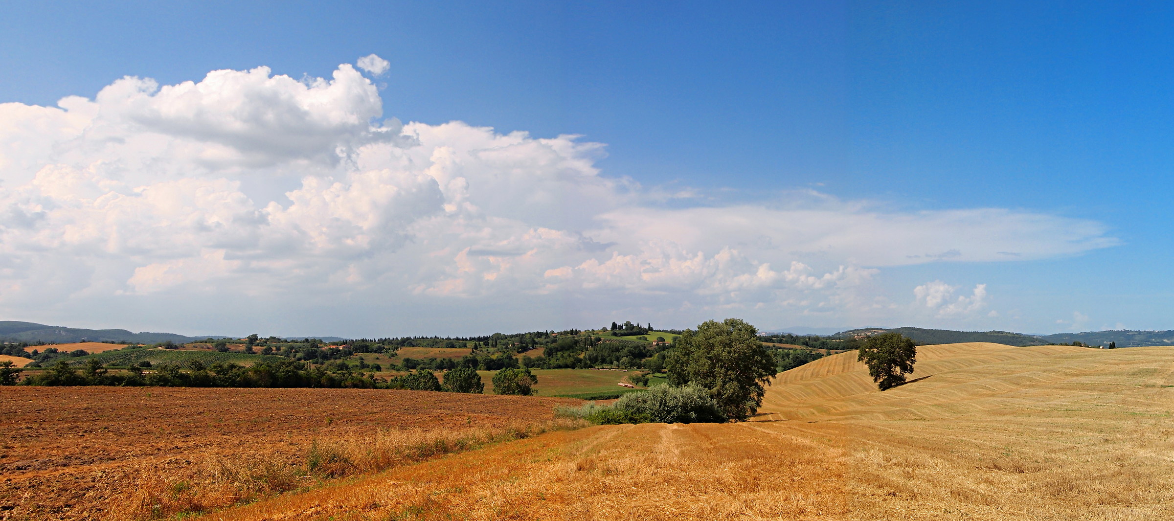 paeseggio Tuscan