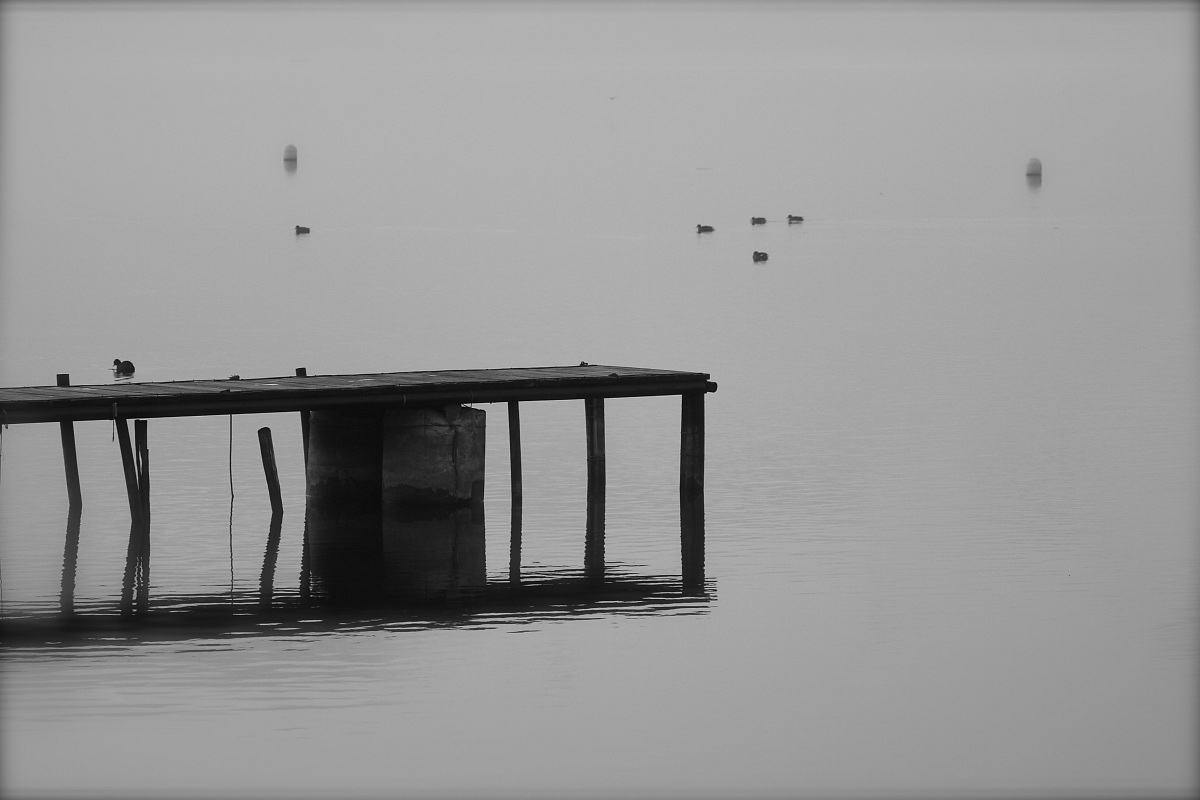 Passerella Lago di Candia B/N