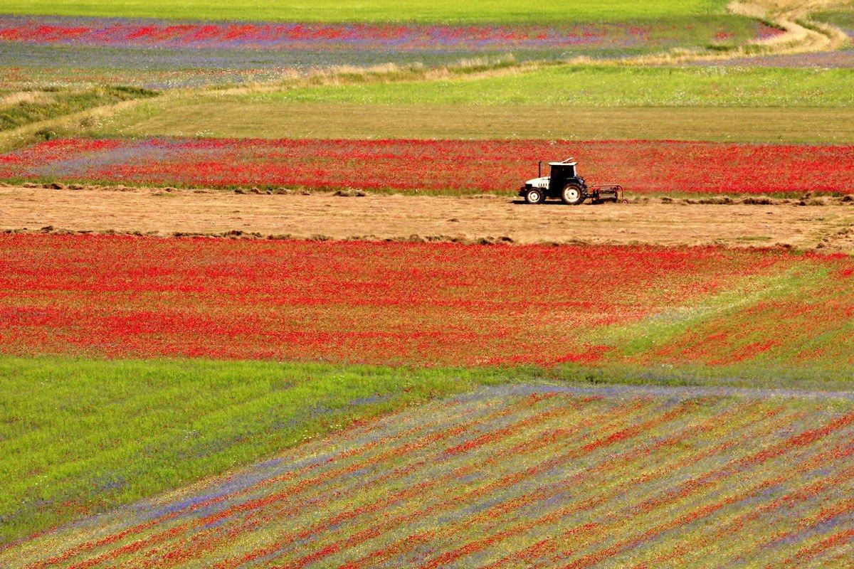 Lavorare la terra a Castelluccio