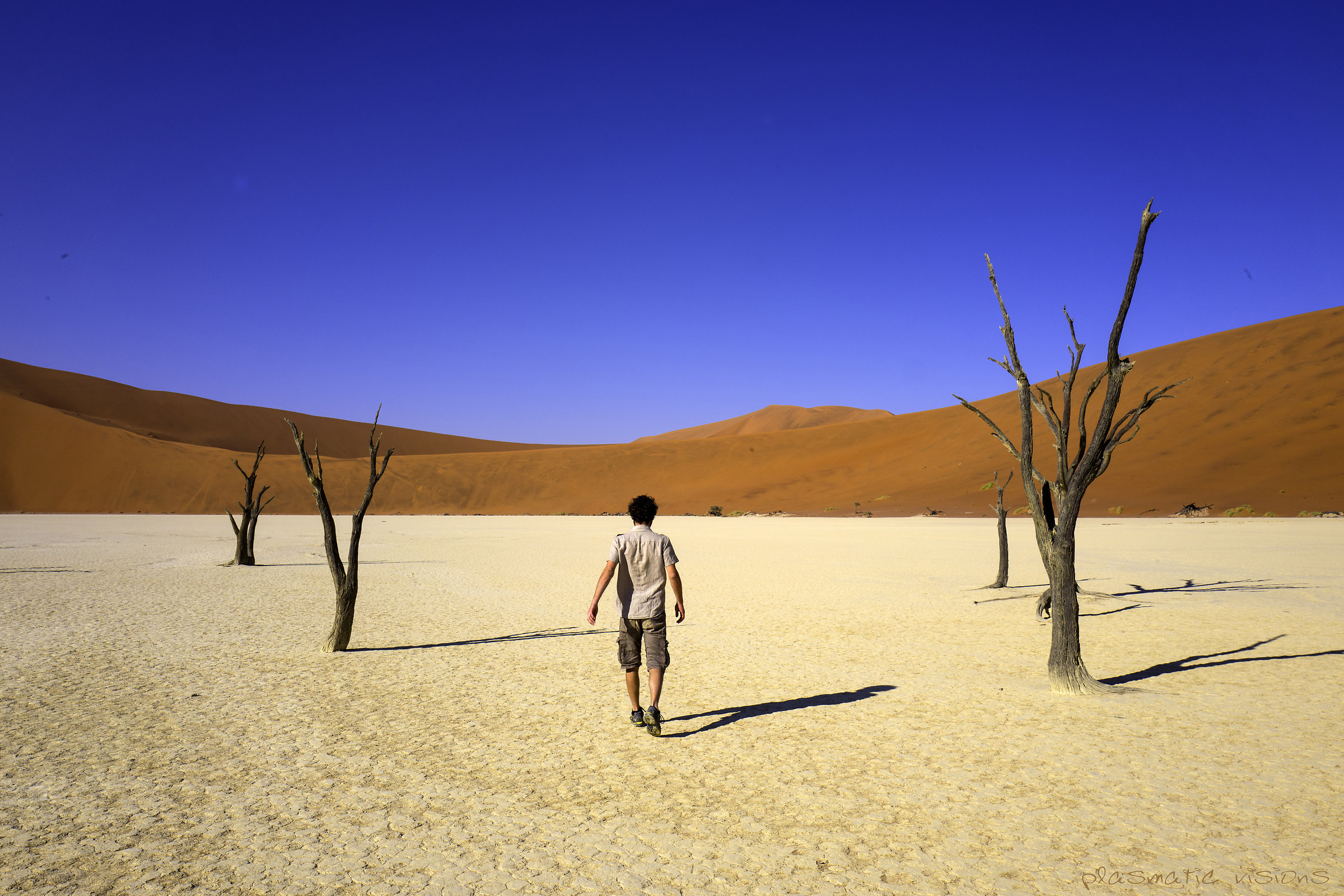 Namibia - deadvley