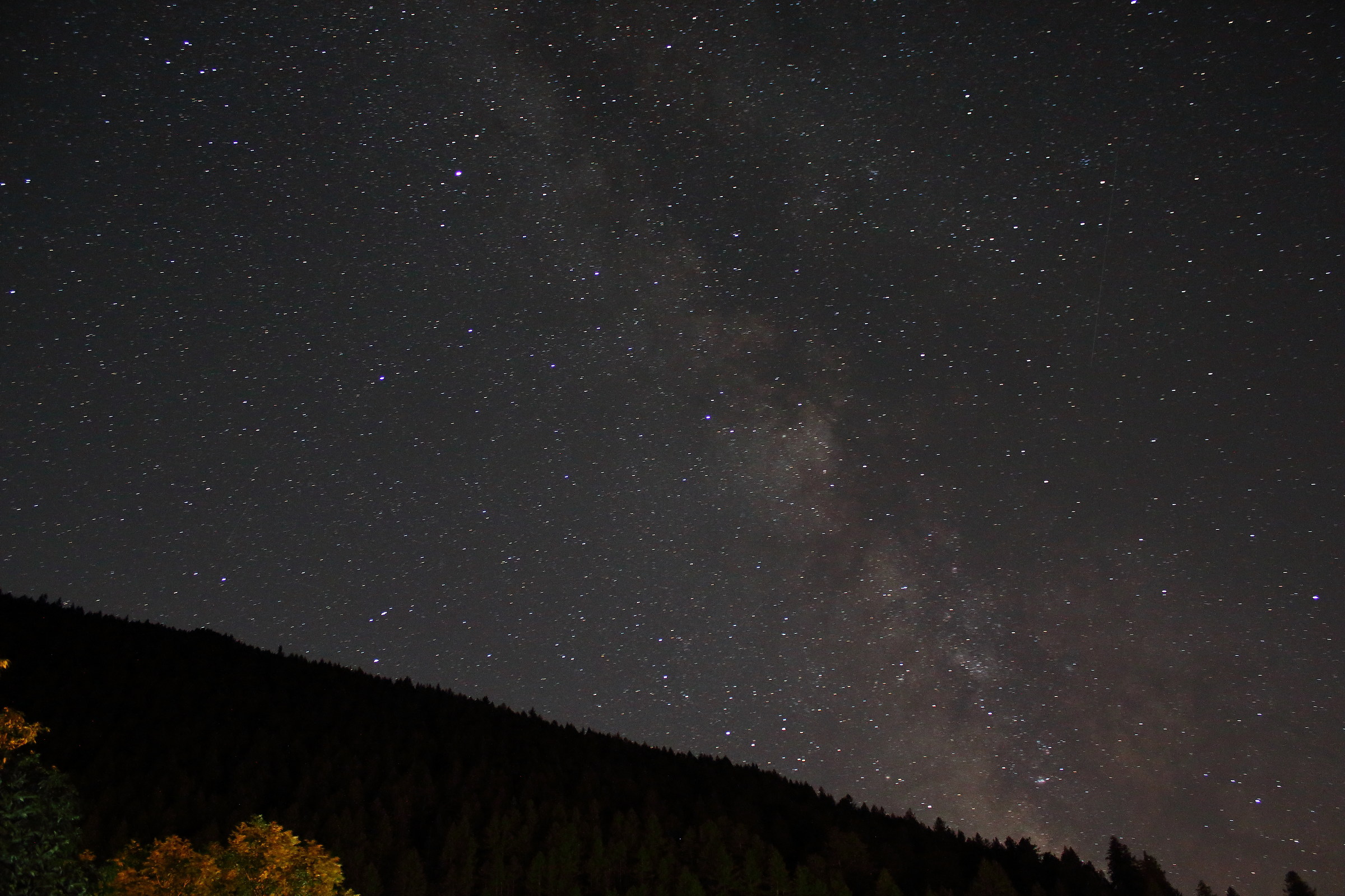 Il bosco e l'infinito