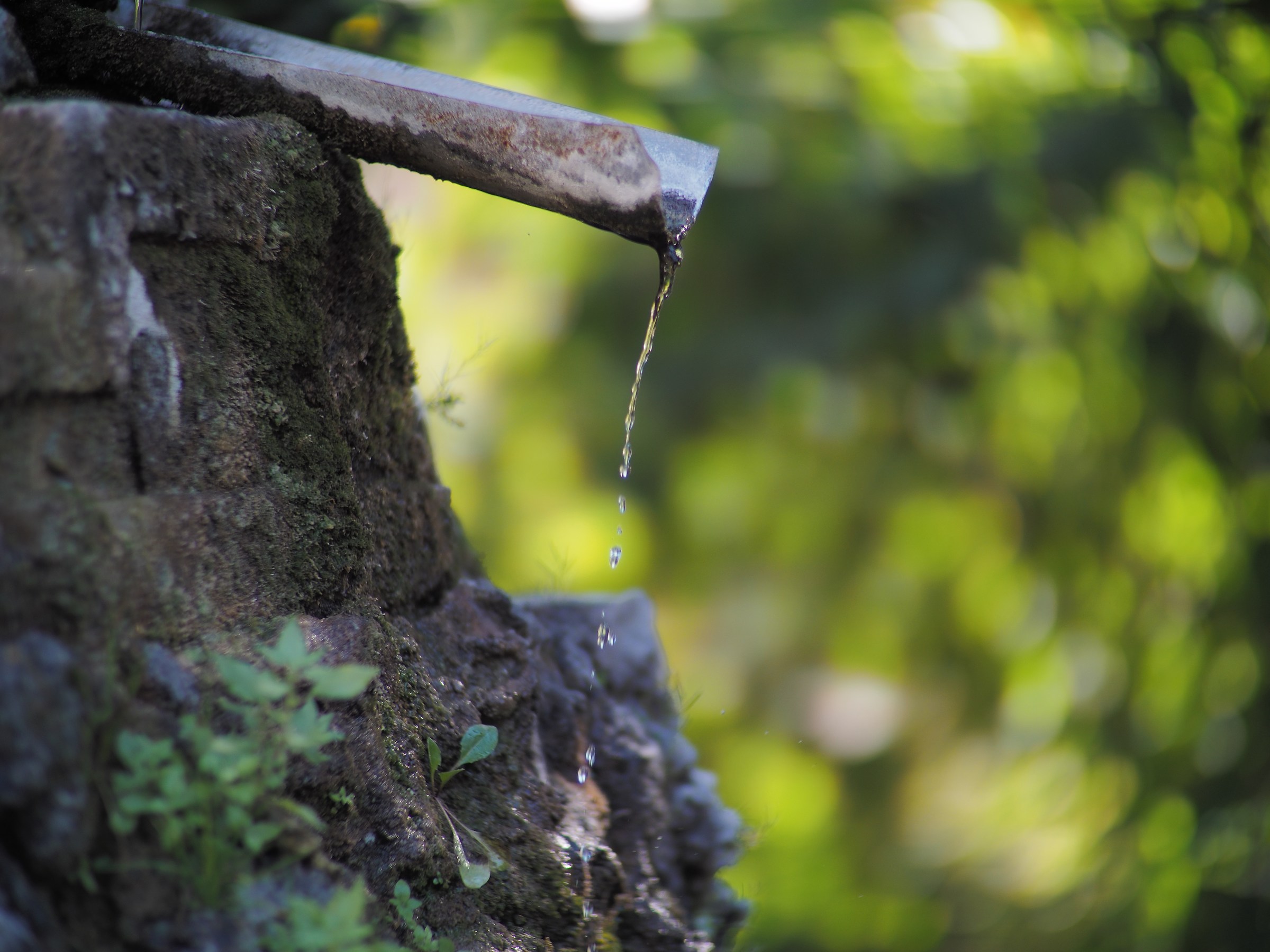 Una fontana abbandonata