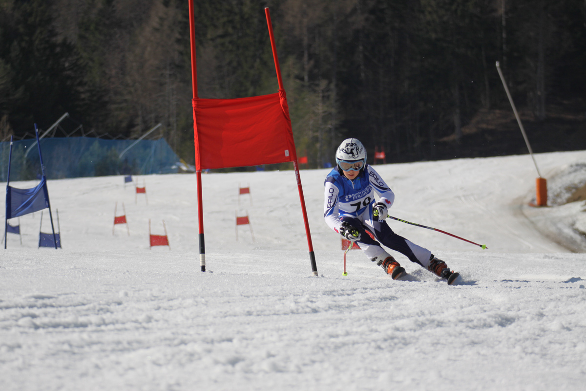 sci piccoli campioni