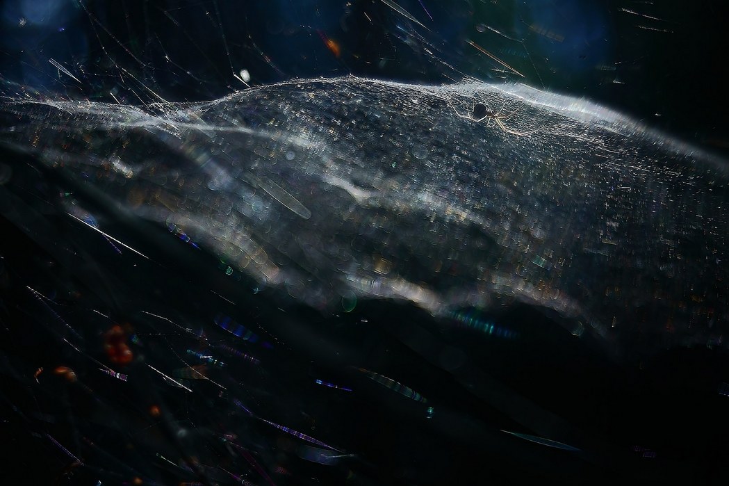 The owner of a small Galaxy.