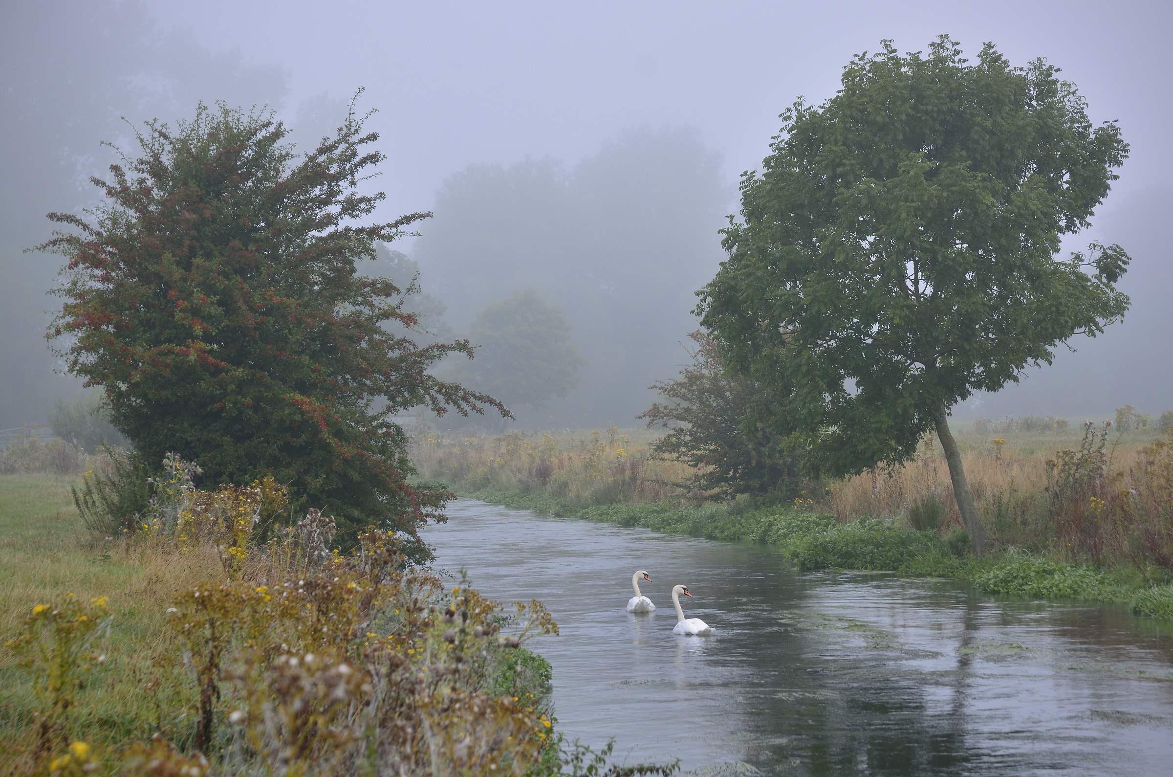 Autumn in August (2016)