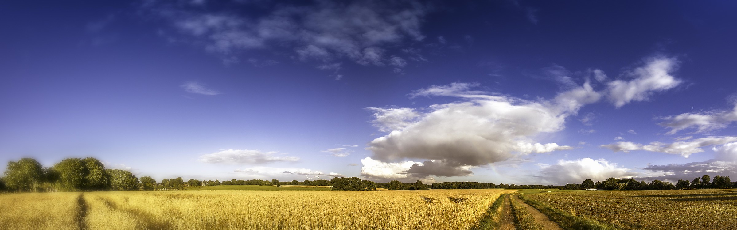 panorama summer sunset
