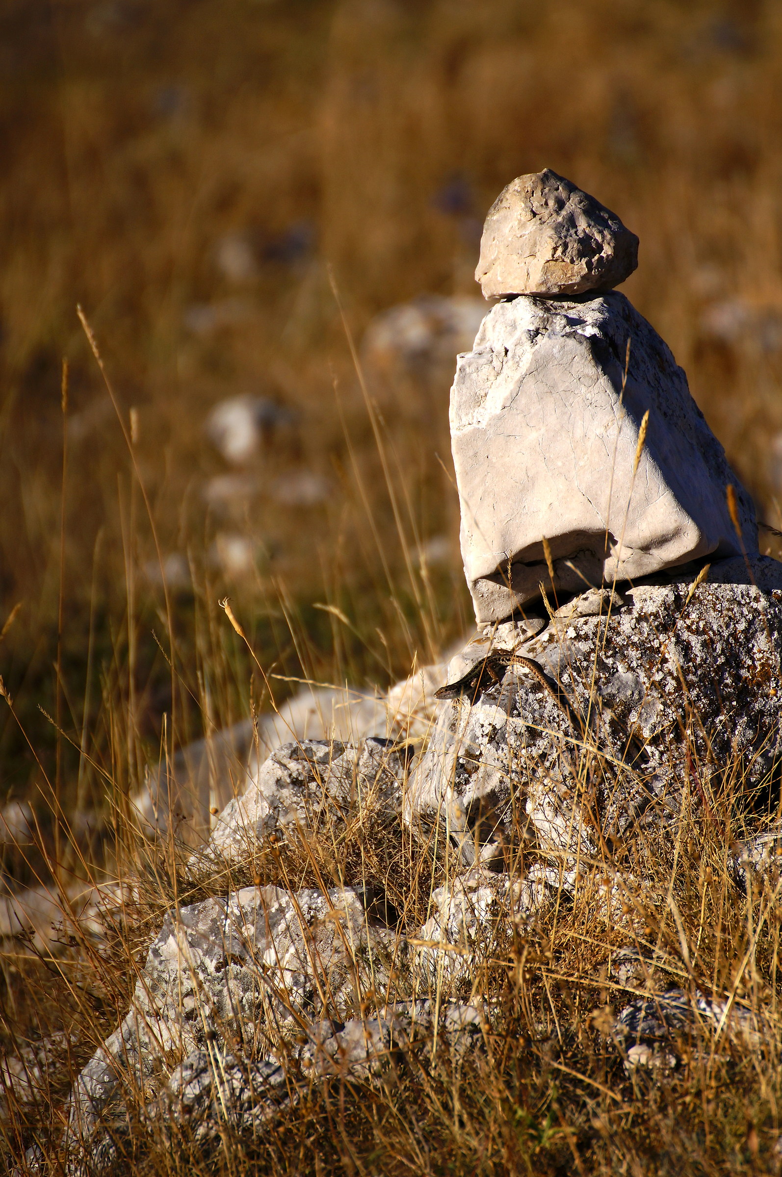 godersi la luce del mattino...