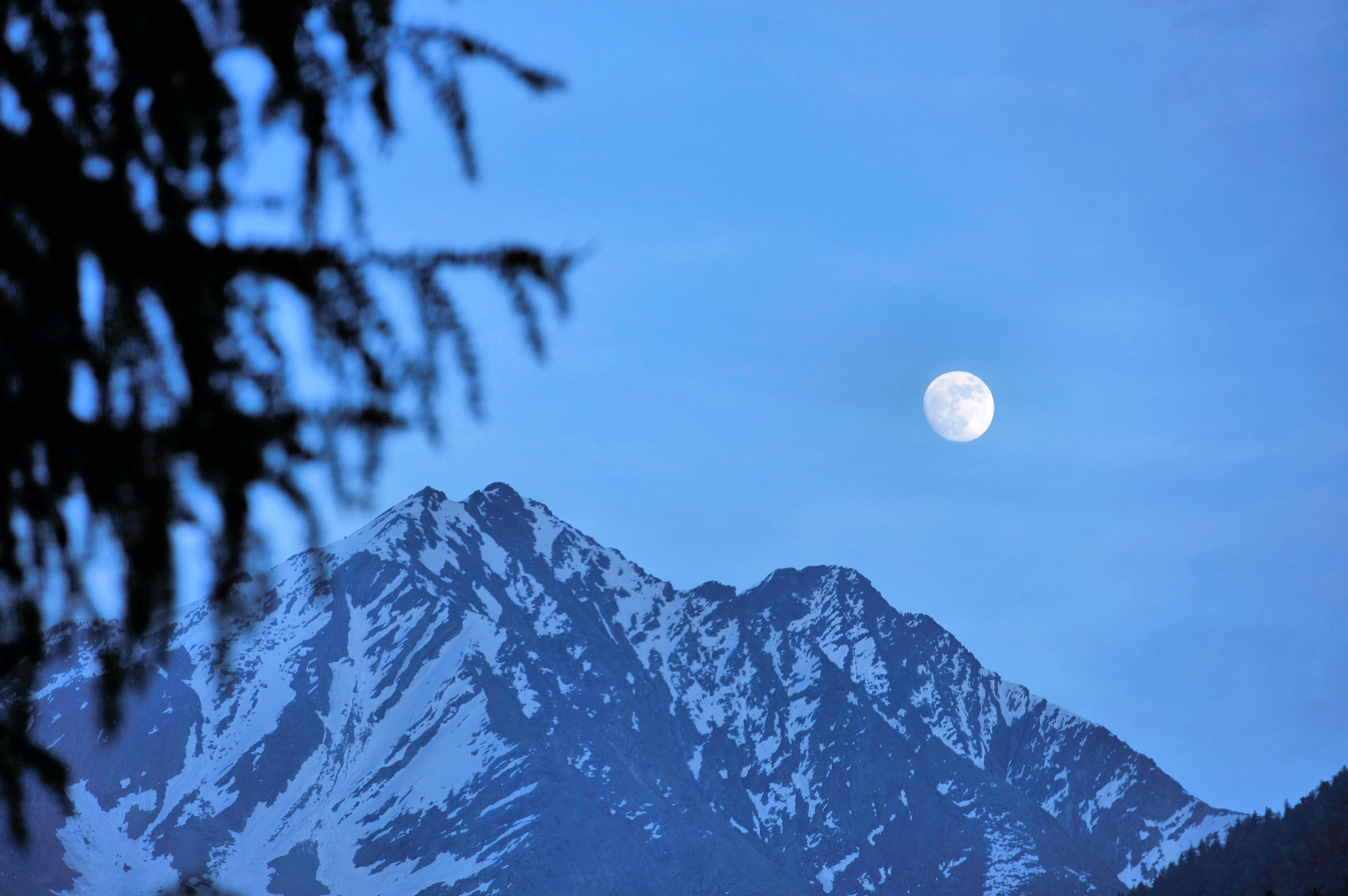 what dost thou moon in the sky ...