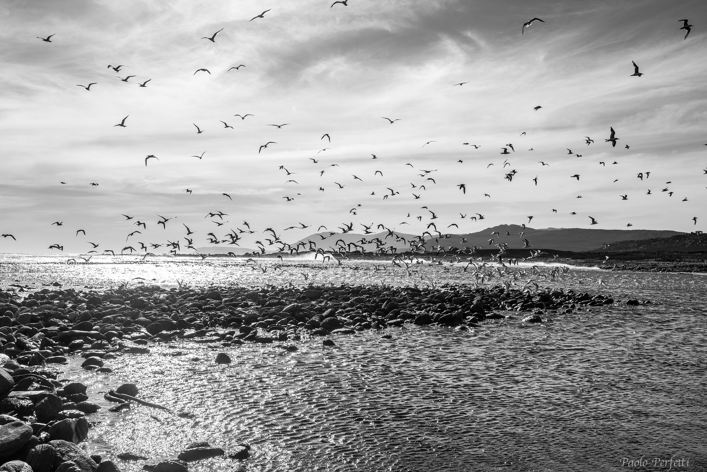 Il volo di cape point