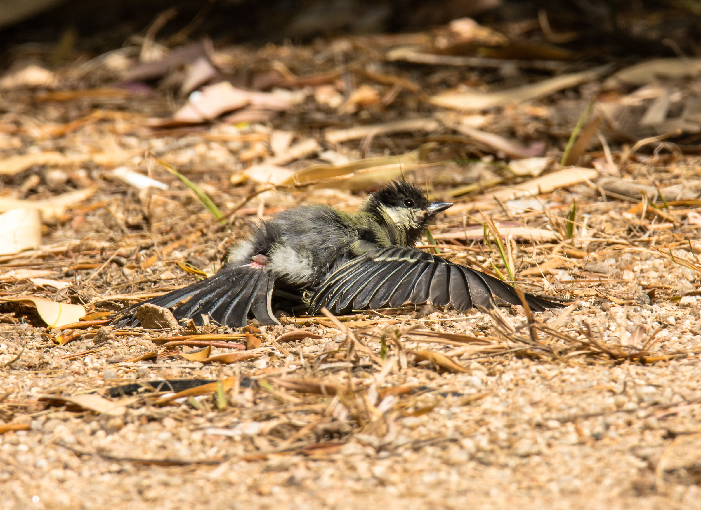 I lie a little and take the sun