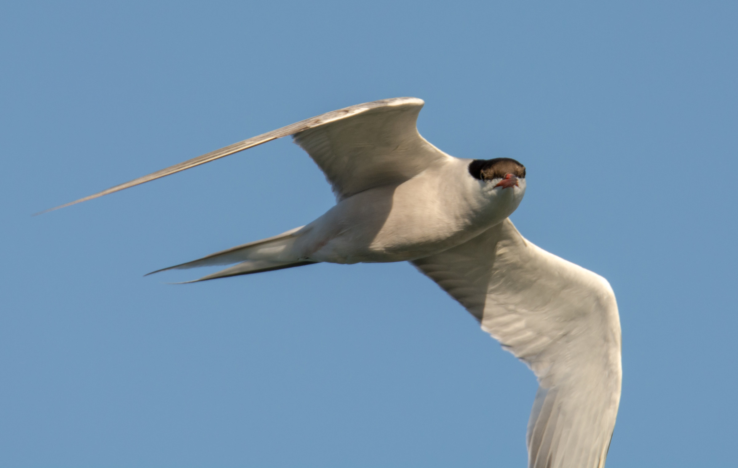 What, me photographers?