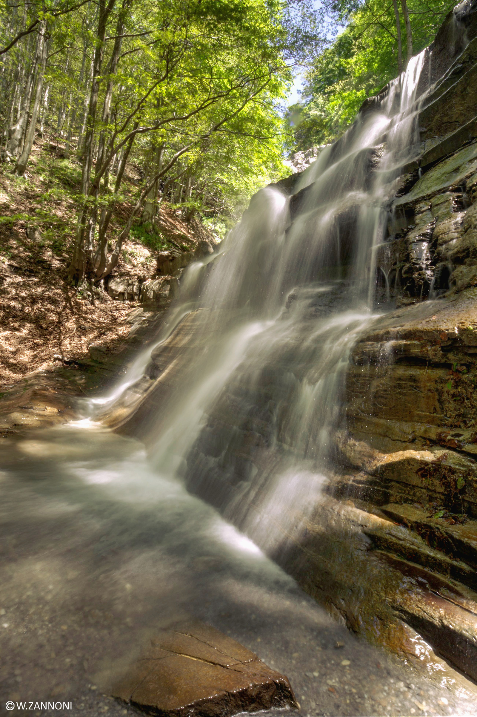 thunderous freshness