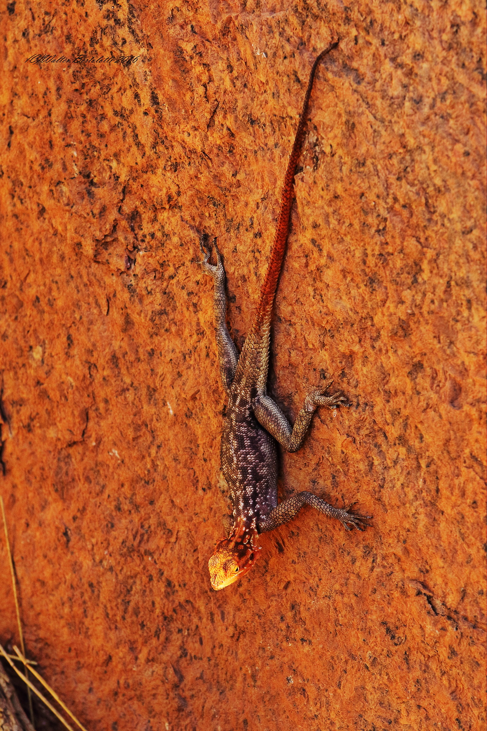 encounters along the way