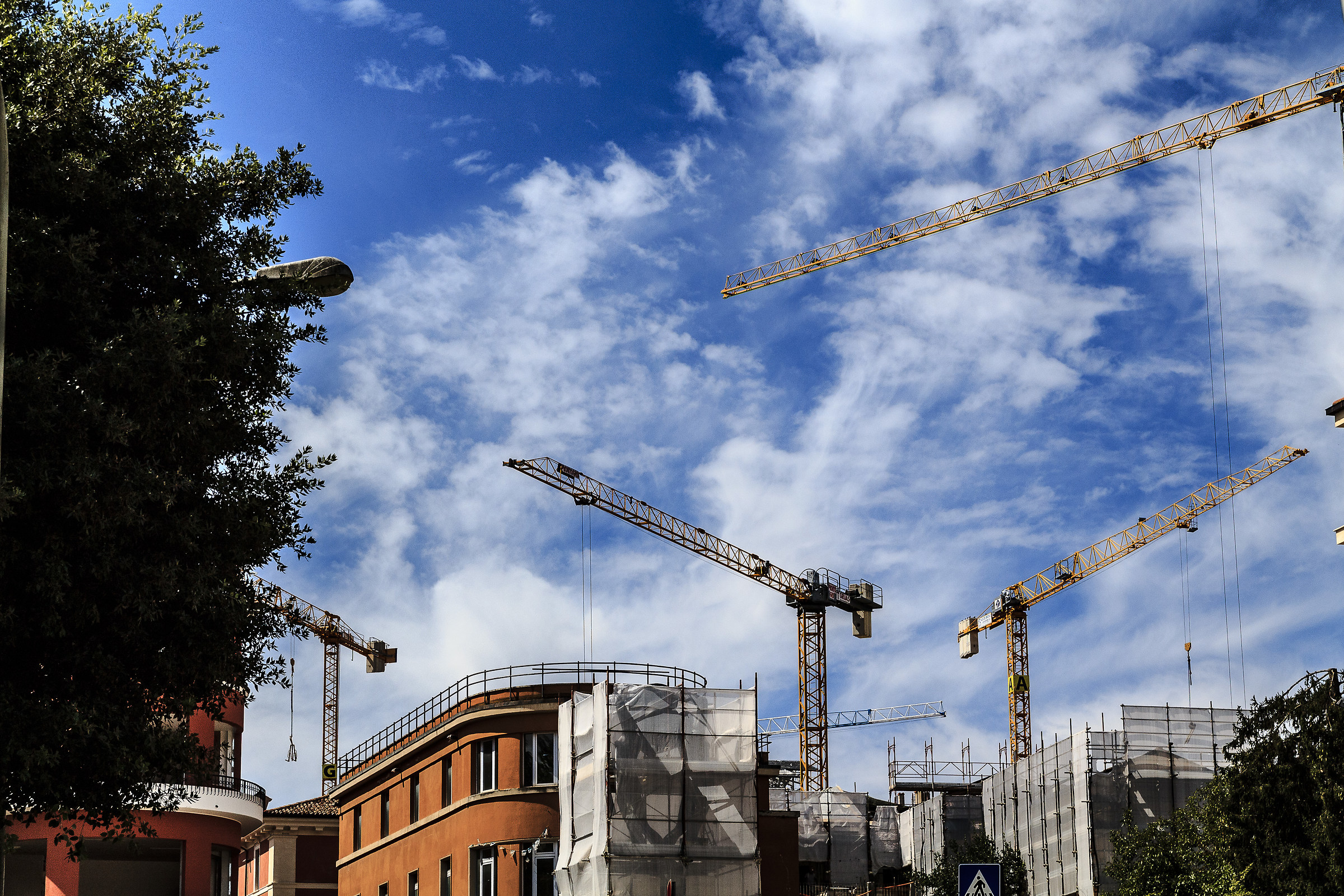 The eagle The City of Cranes