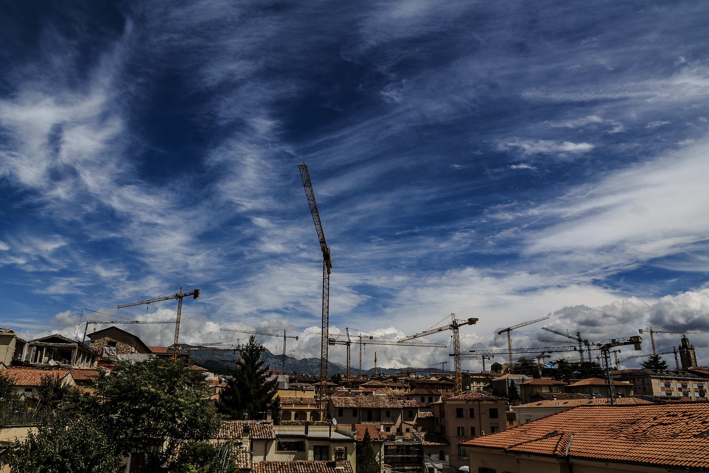 The eagle The City of Cranes