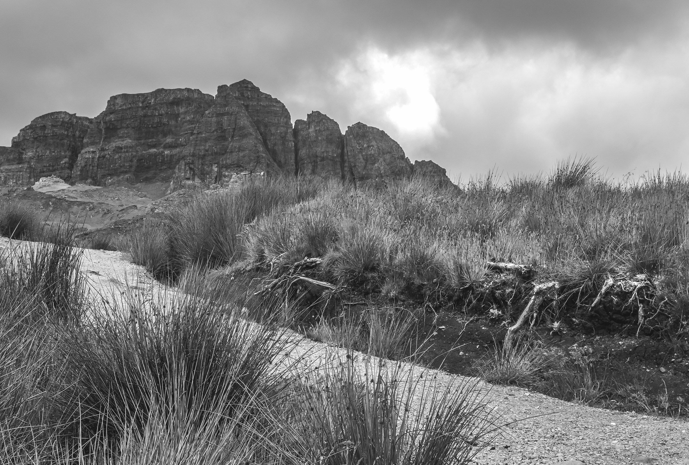 Storr in gray