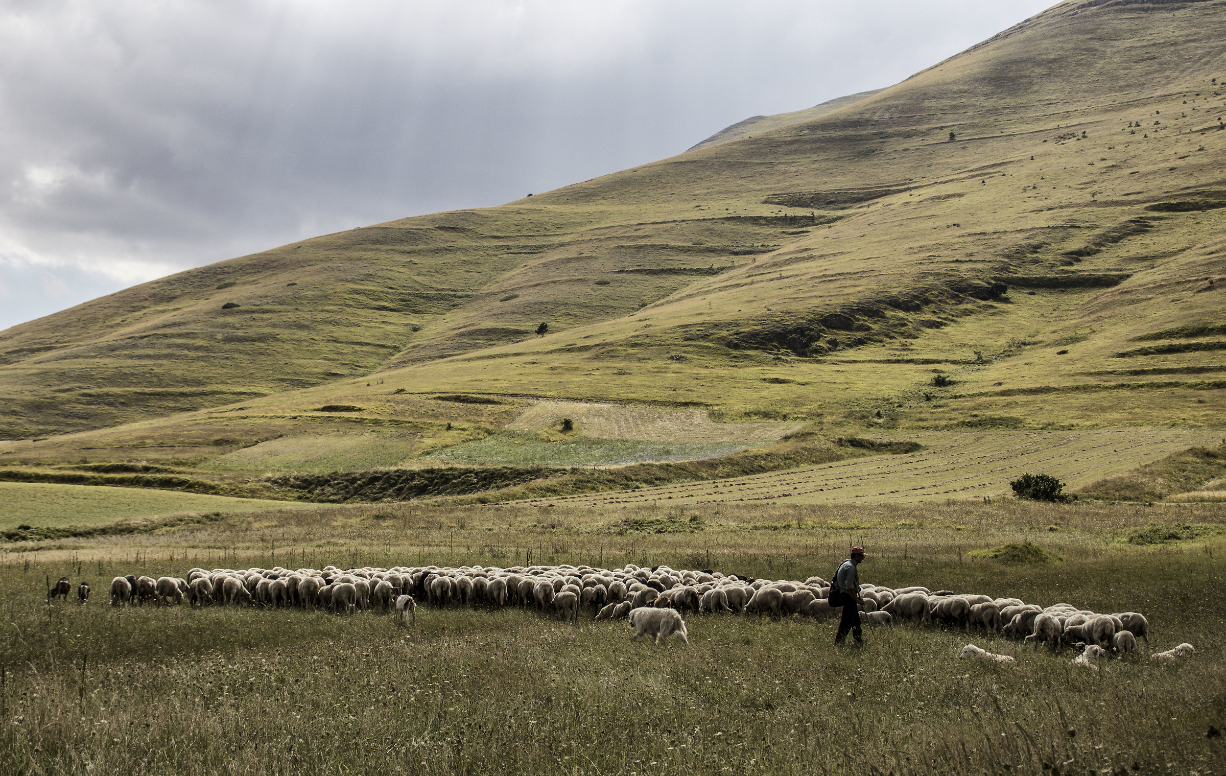 Piana di Castelluccio